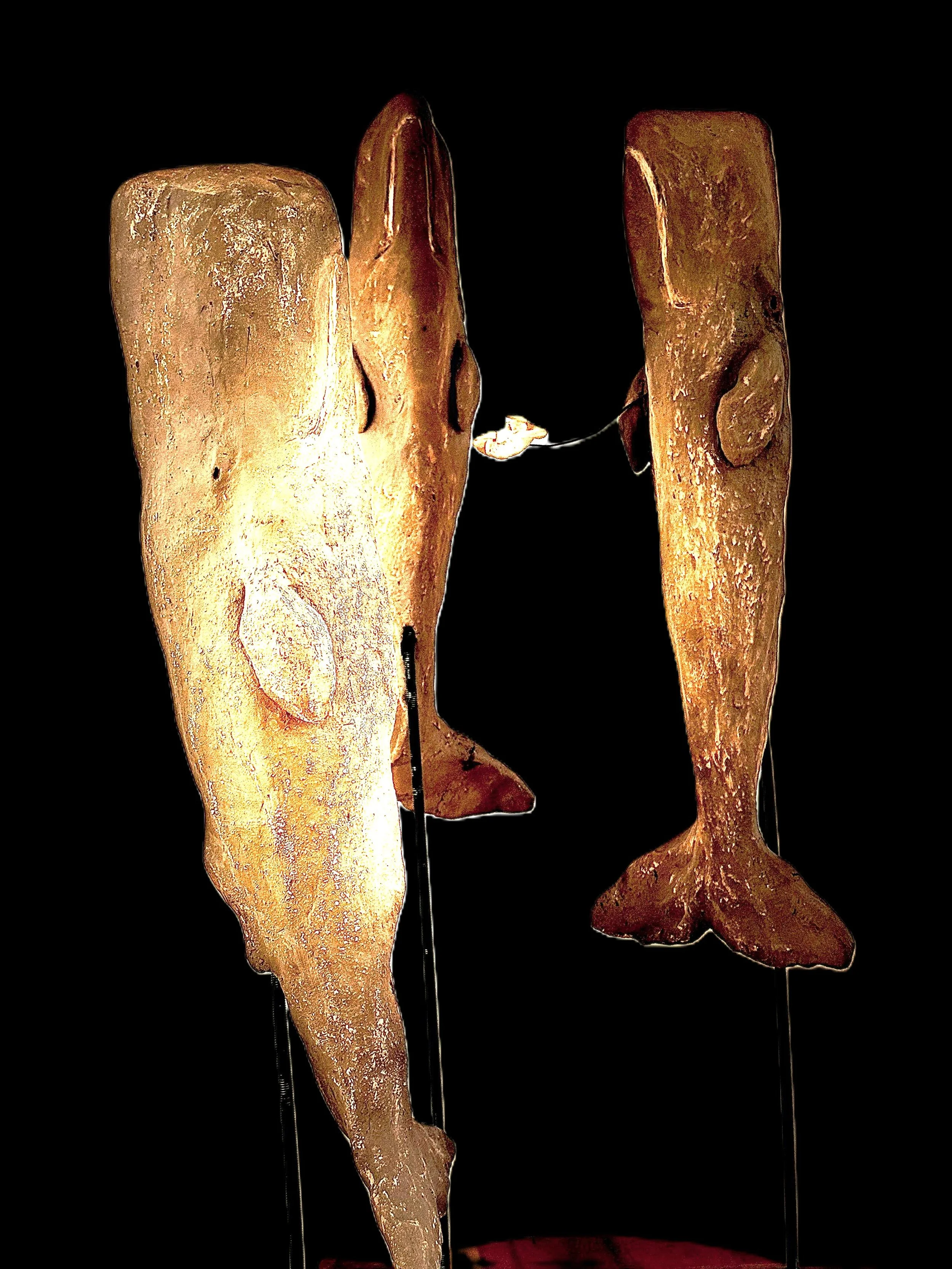 SLEEP  - Sperm Whales Sleeping (Clay, Stoneware)