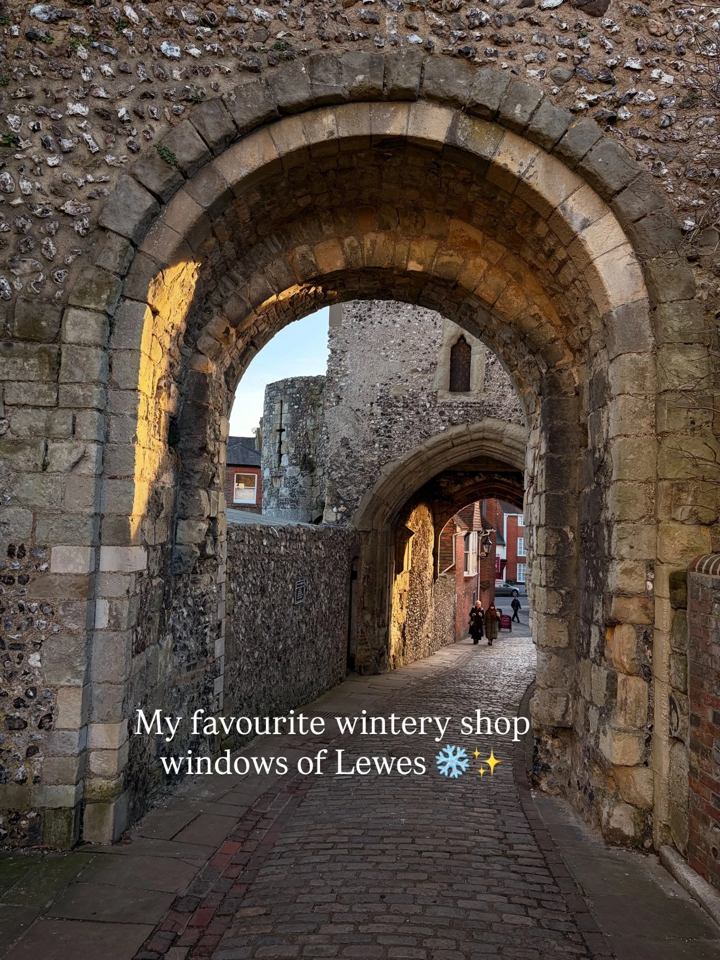 Pretty shop windows that caught my today in Lewes

@radicallivingco 
@boon_books 
@chalkgallerylewes 
@oil_and_dust 
@fromvictoriashop 

Not forgetting a delicious lunch at 
@cacciaandtails 

A perfect wintry day trip. Have you been? ❄️
