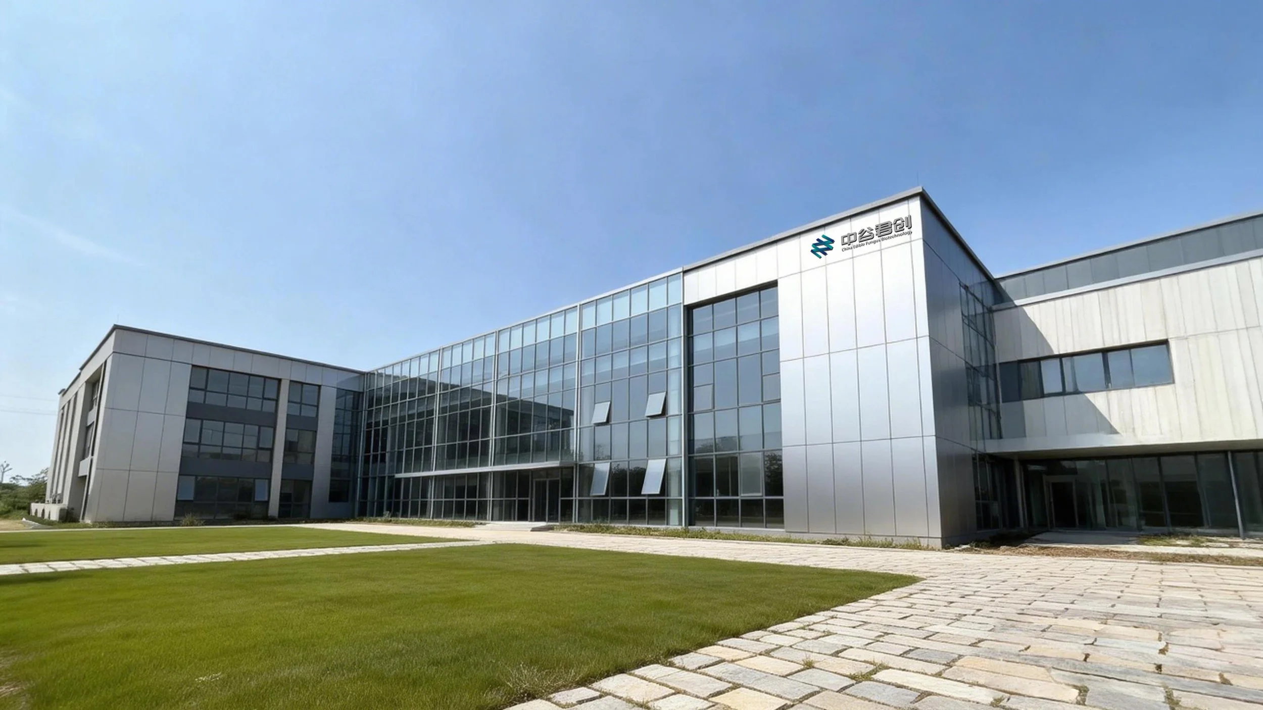 Mushrooms, Mycelium and the Future of Food in China and beyond | China Food For Thought #12