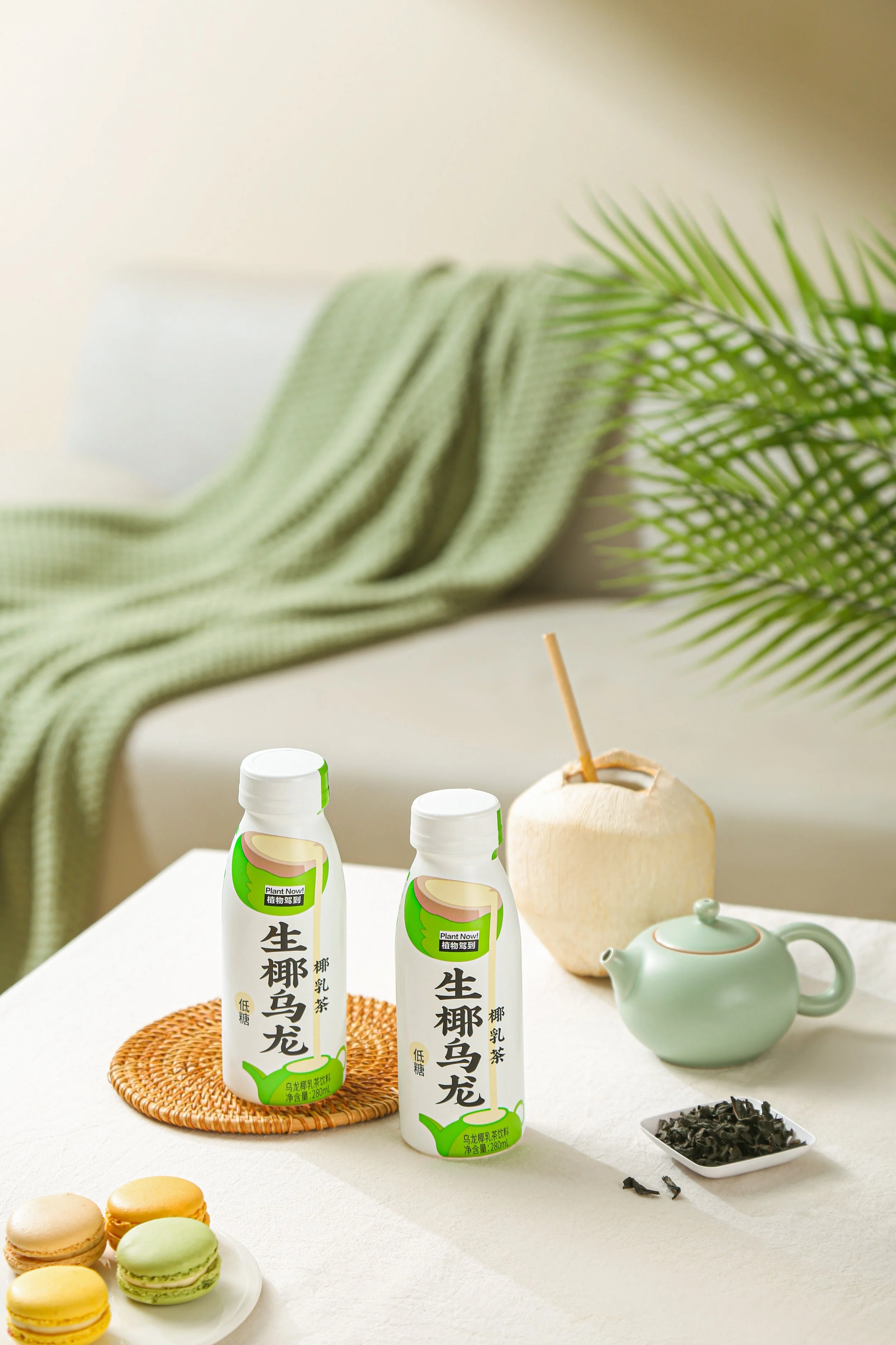 Plant Now! — Dao Foods