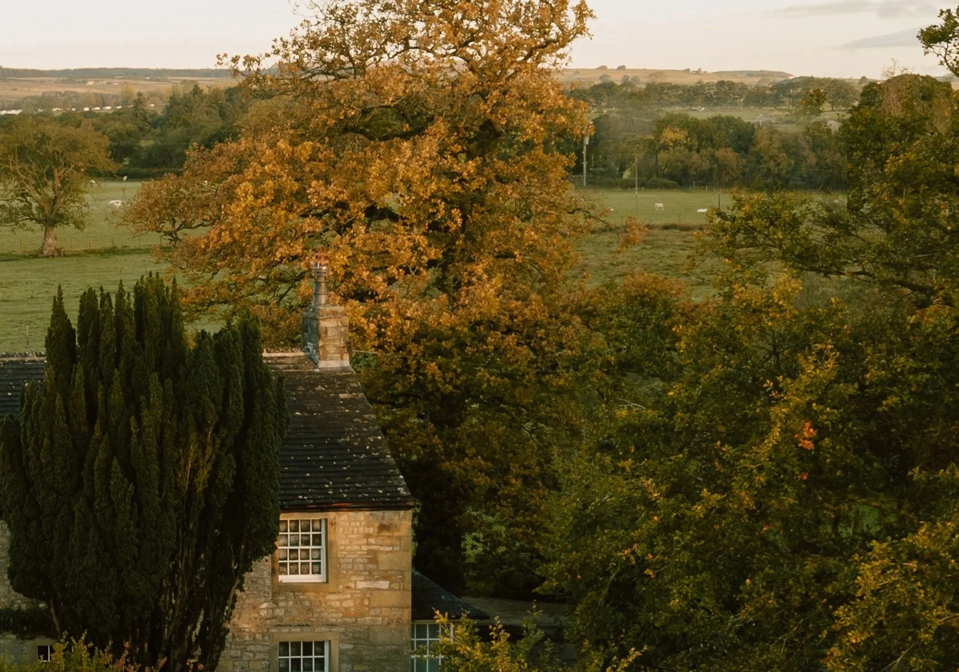 Autumn countryside landscape with a stone cottage, cypress trees, rolling fields, and grazing sheep