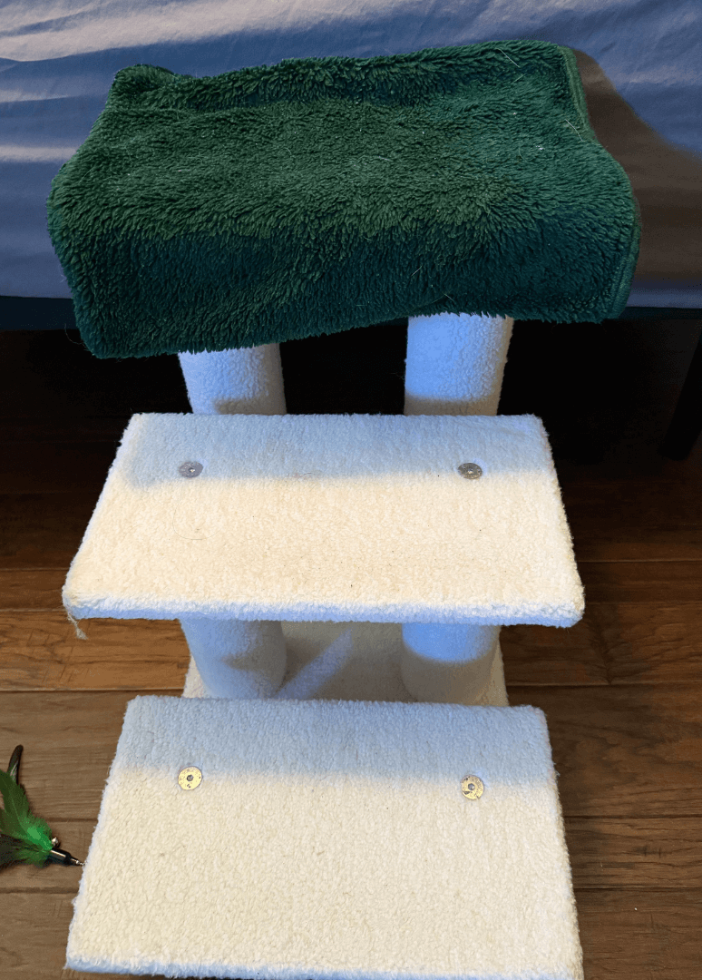Senior cat stairs leading up to bed