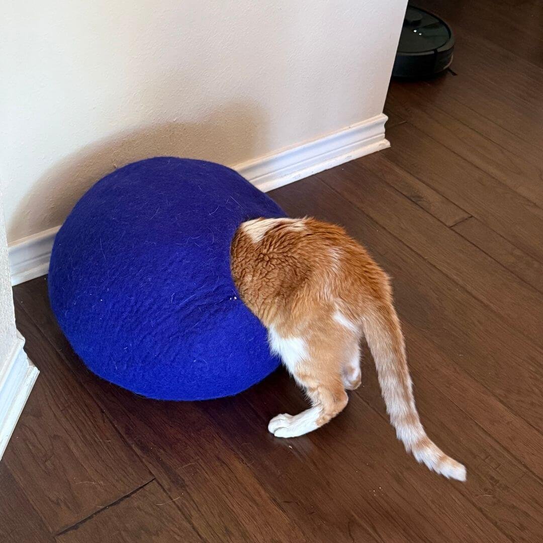 Cat going into cat cave
