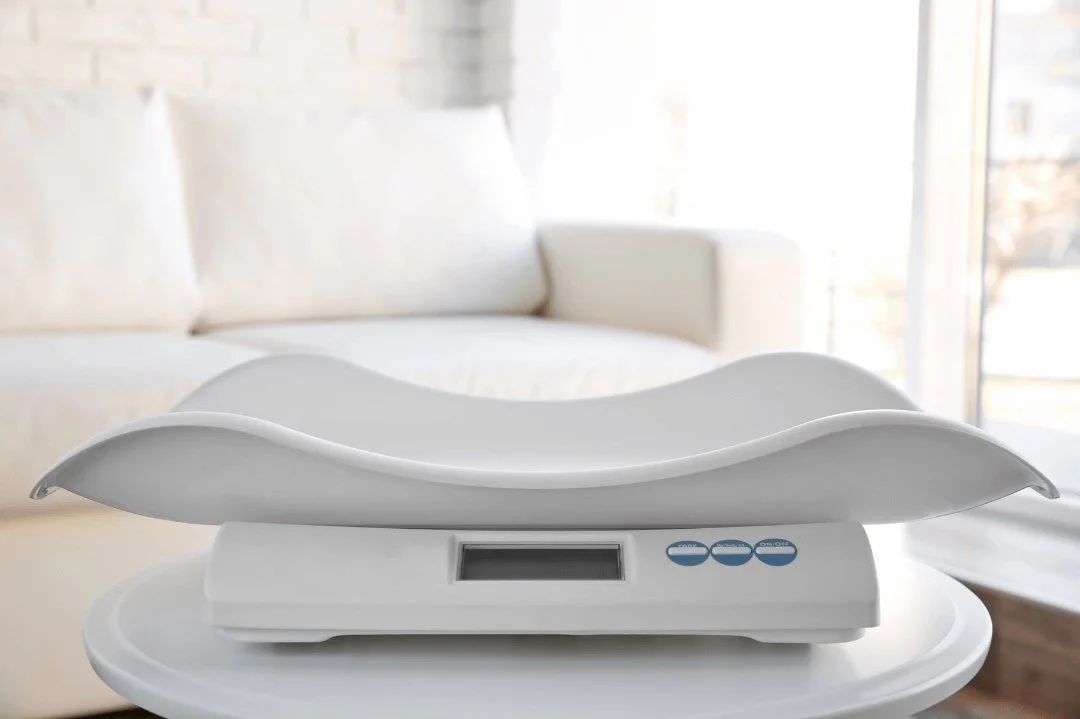 Scale to weigh cats at home
