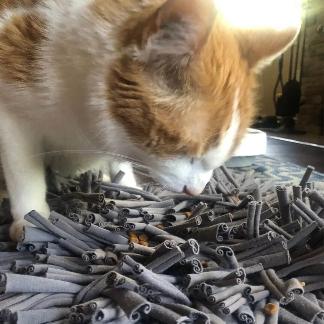 Snuffle mat for cats food enrichment