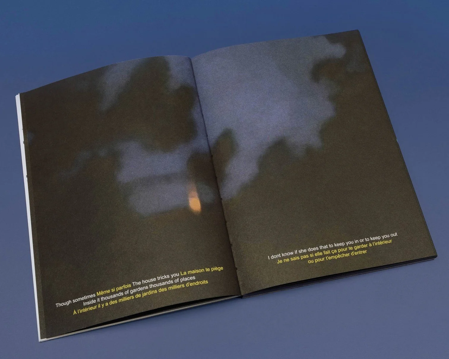 The Hour of Wolf and Sheep, 2026. Artist's book, 96 pages, edition of 300.