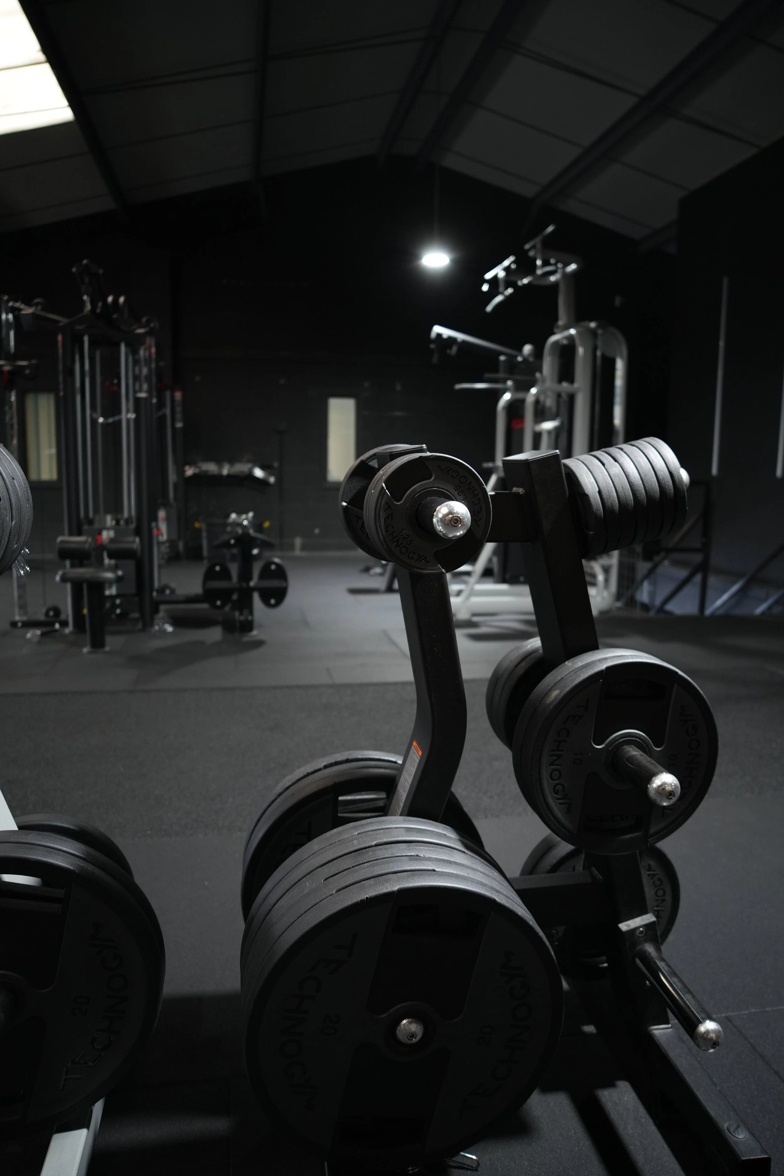 Copy of DSC01740.JPG