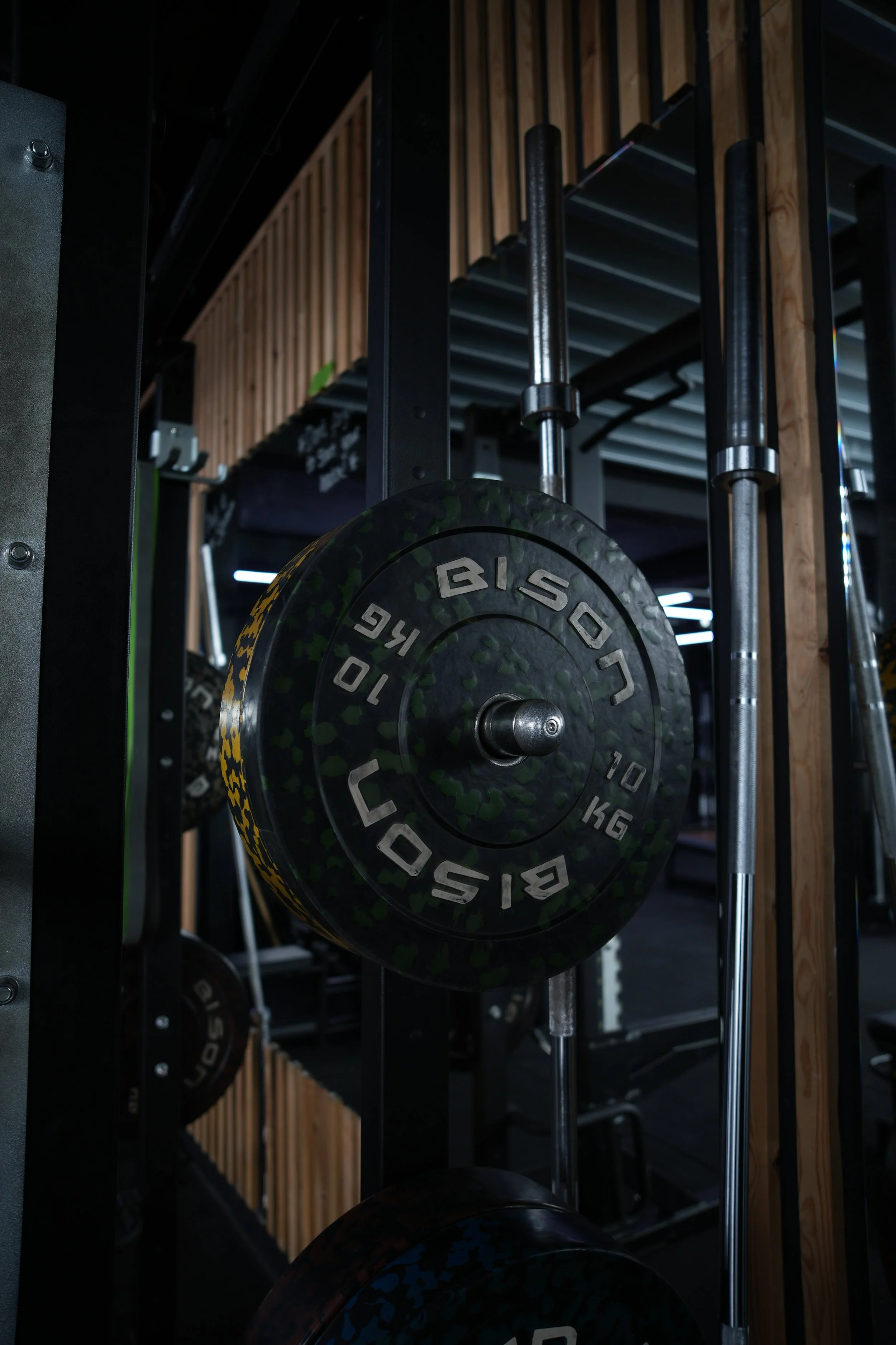 Copy of DSC01768.JPG