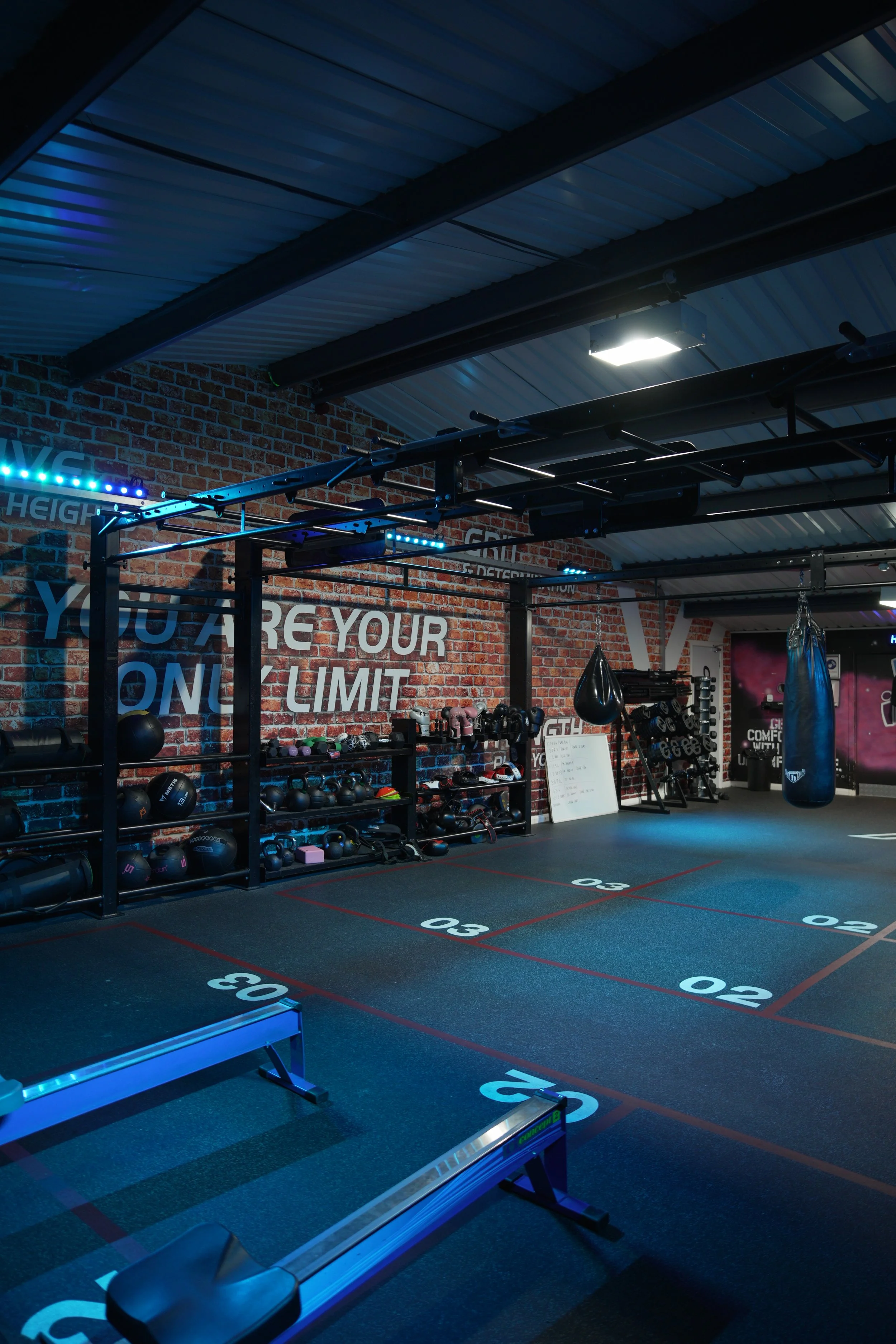 Copy of DSC02133.JPG