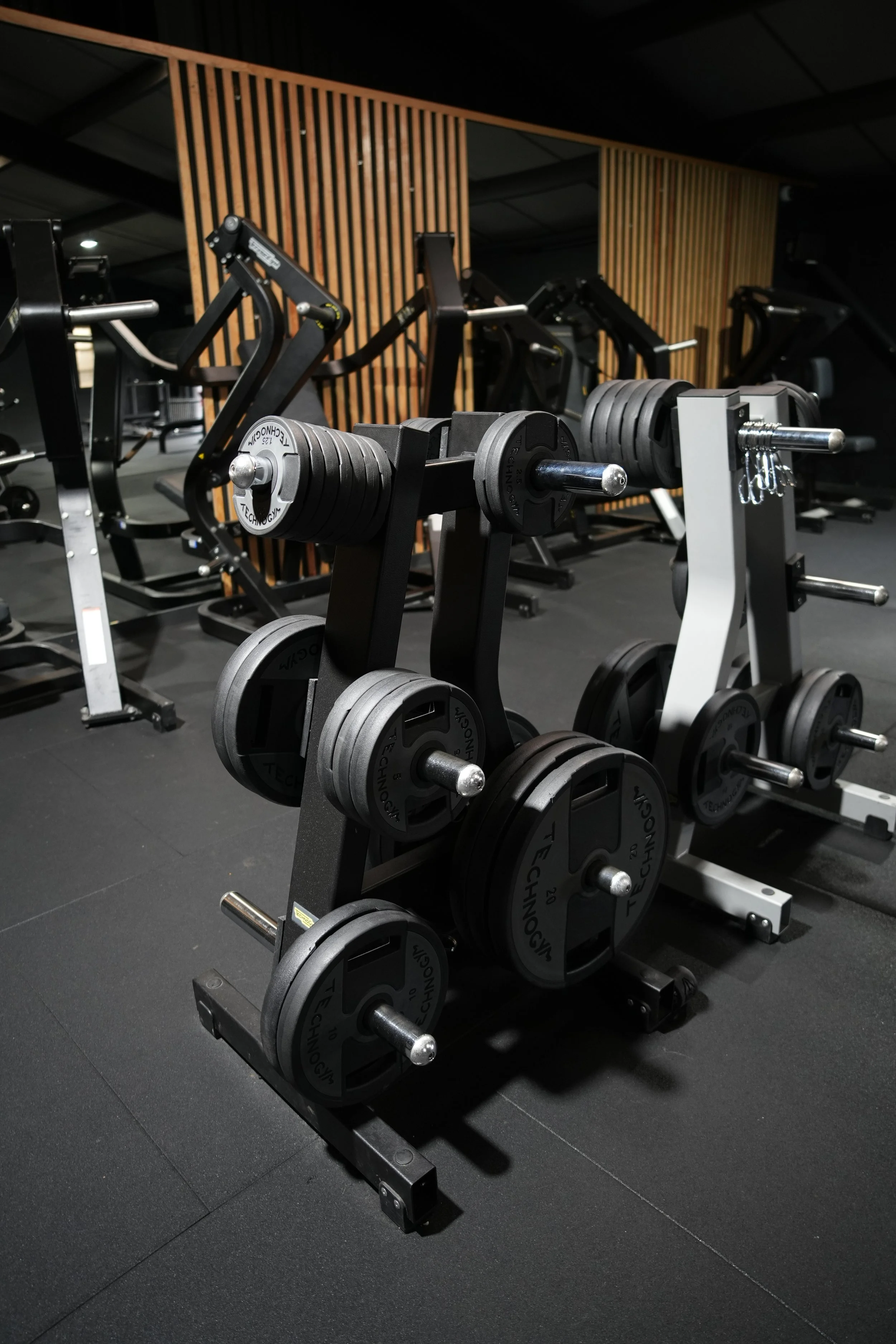 Copy of DSC01735.JPG