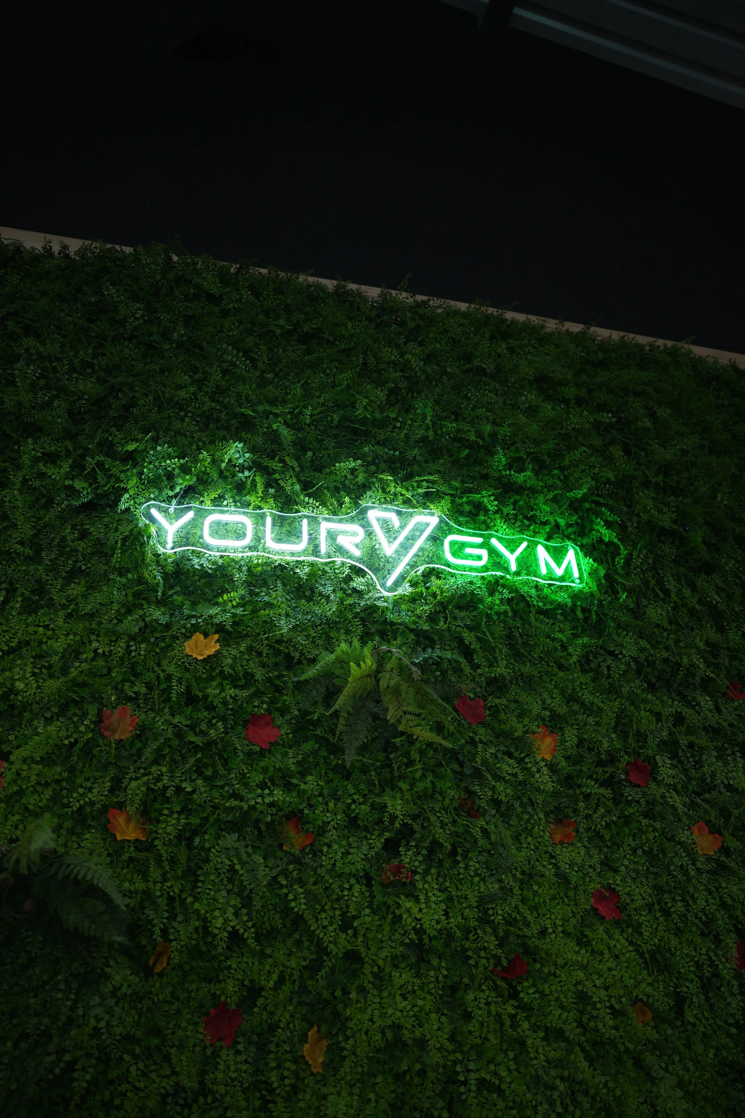 Copy of DSC01804.JPG