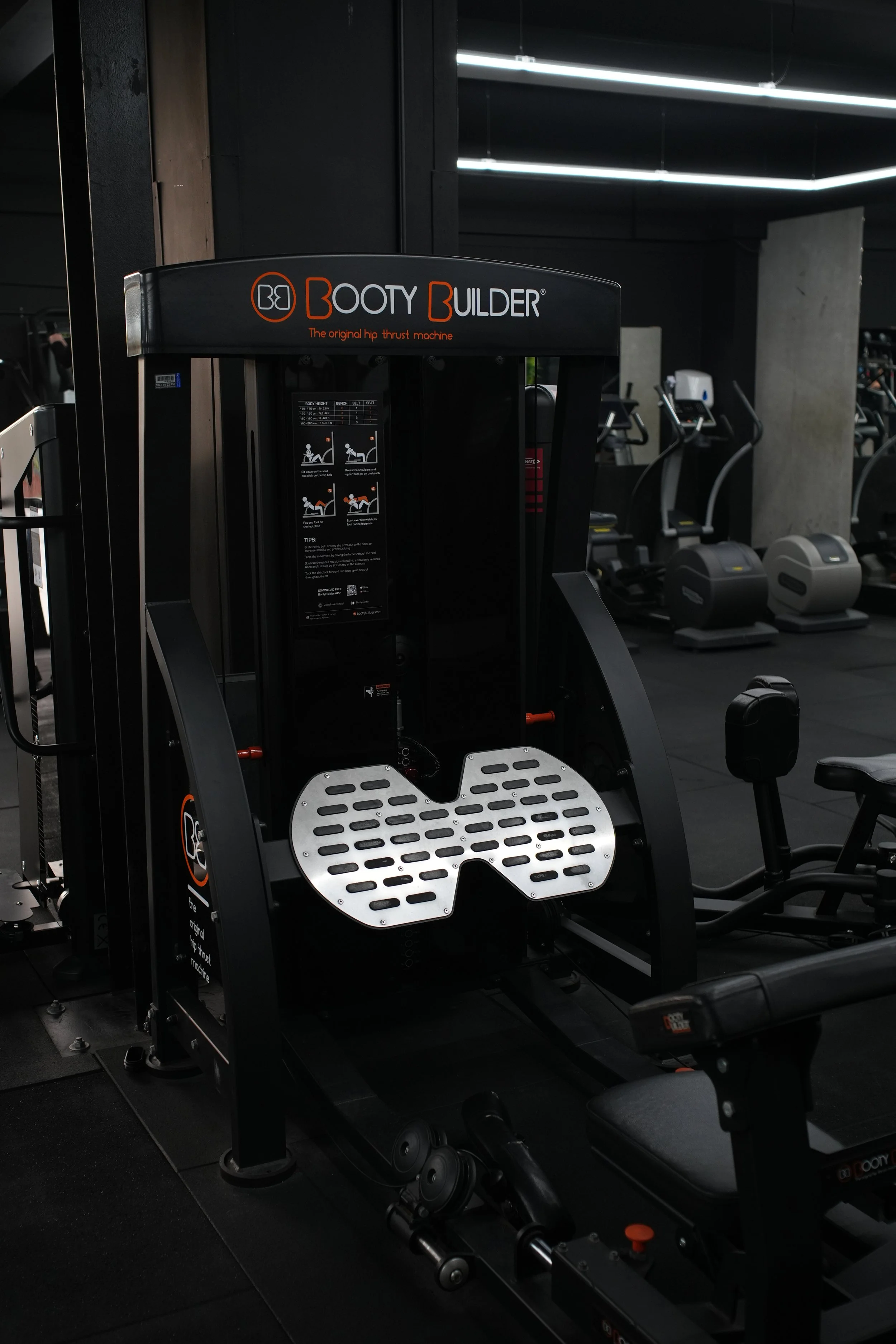 Copy of DSC01698.JPG