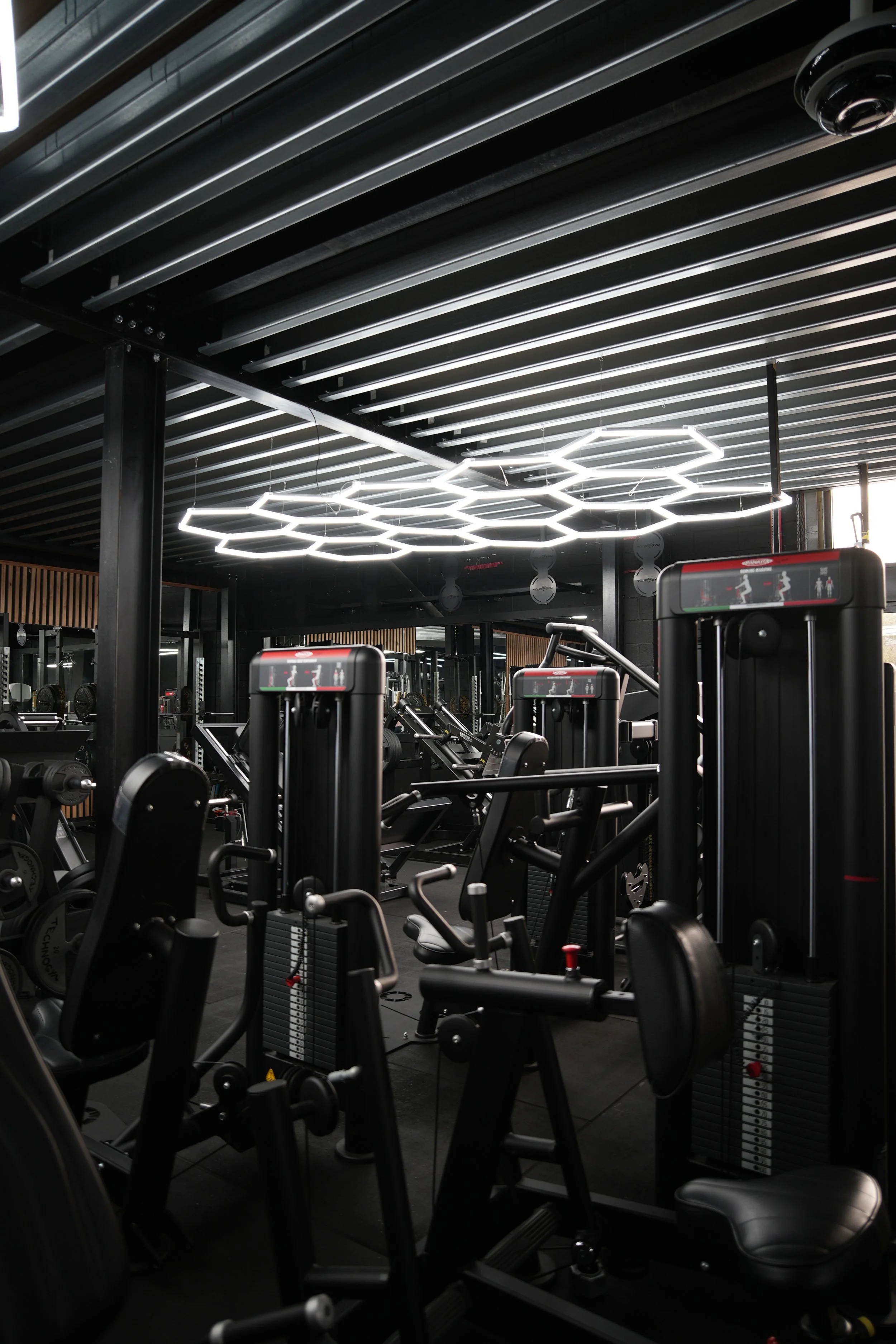 Copy of DSC01785.JPG