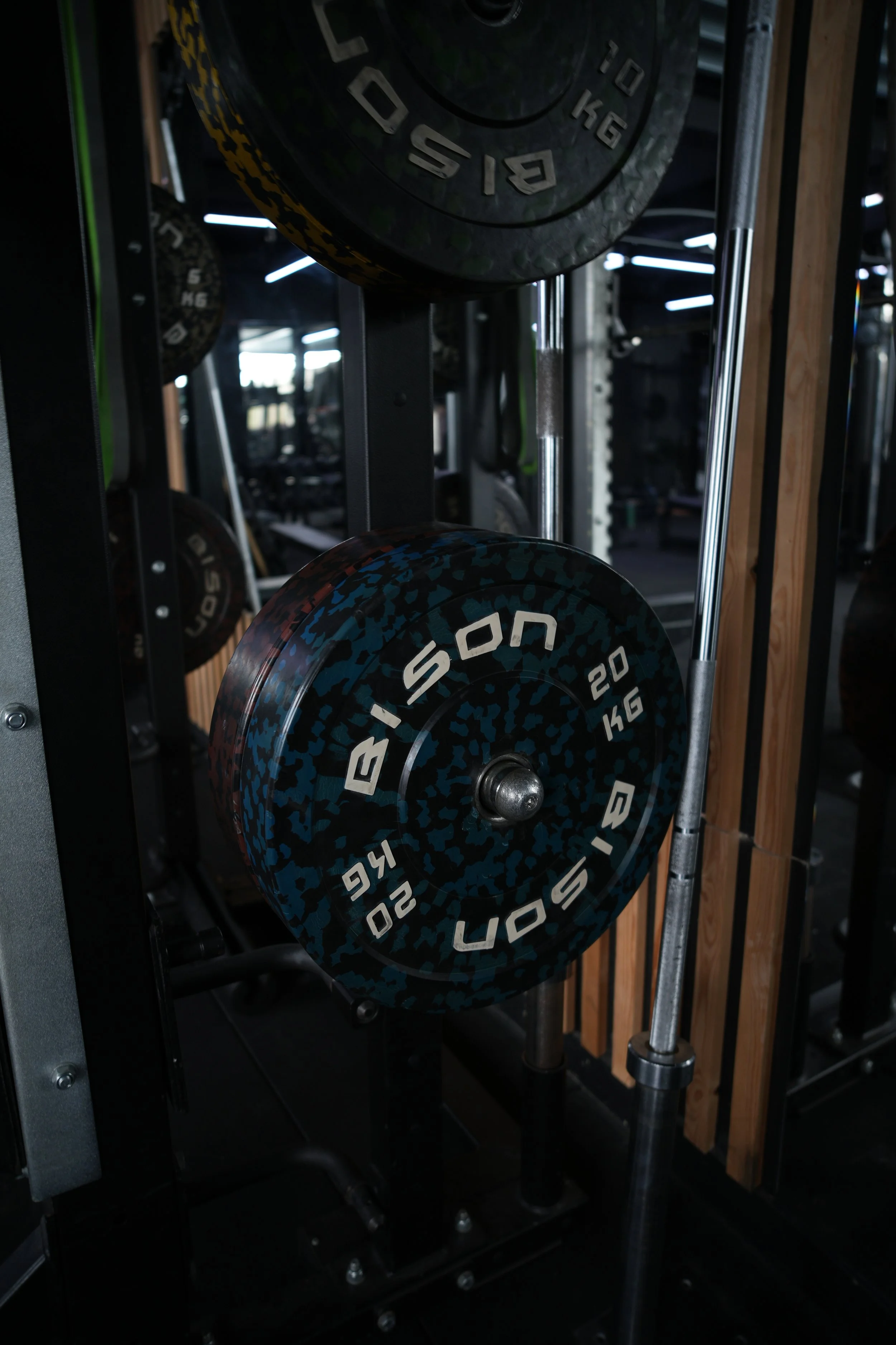 Copy of DSC01766.JPG