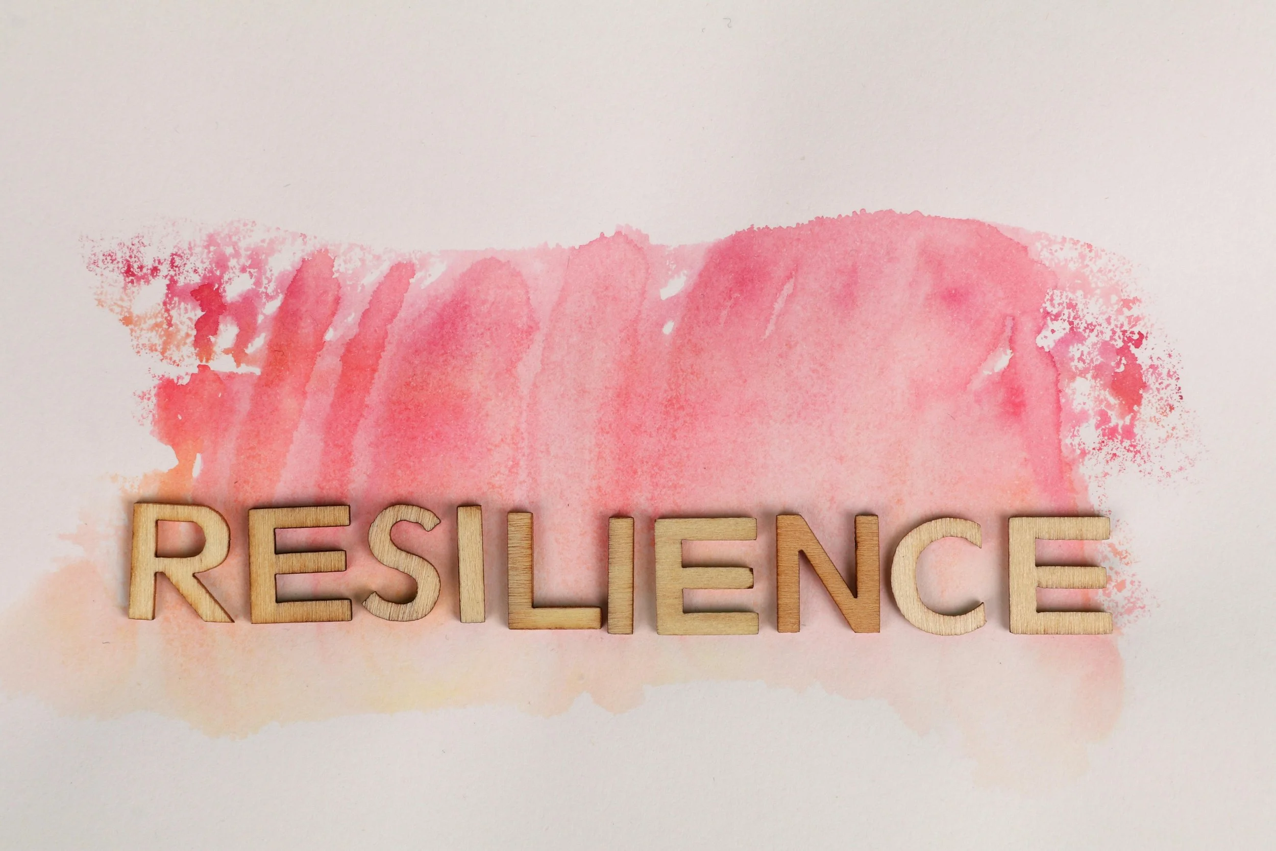 Blog Post #28: Resilience Pt 1