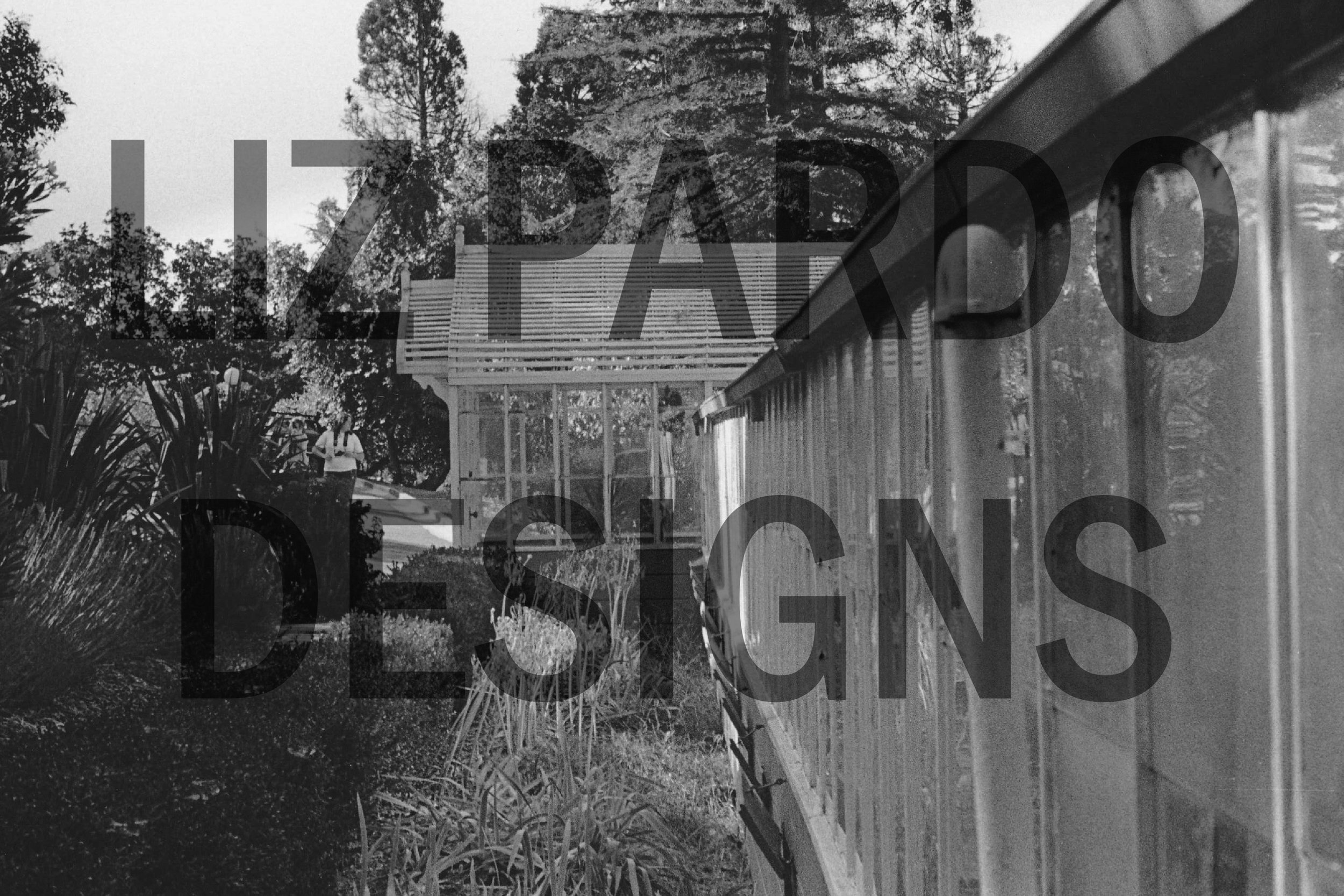 35mm Photograph: Greenhouse