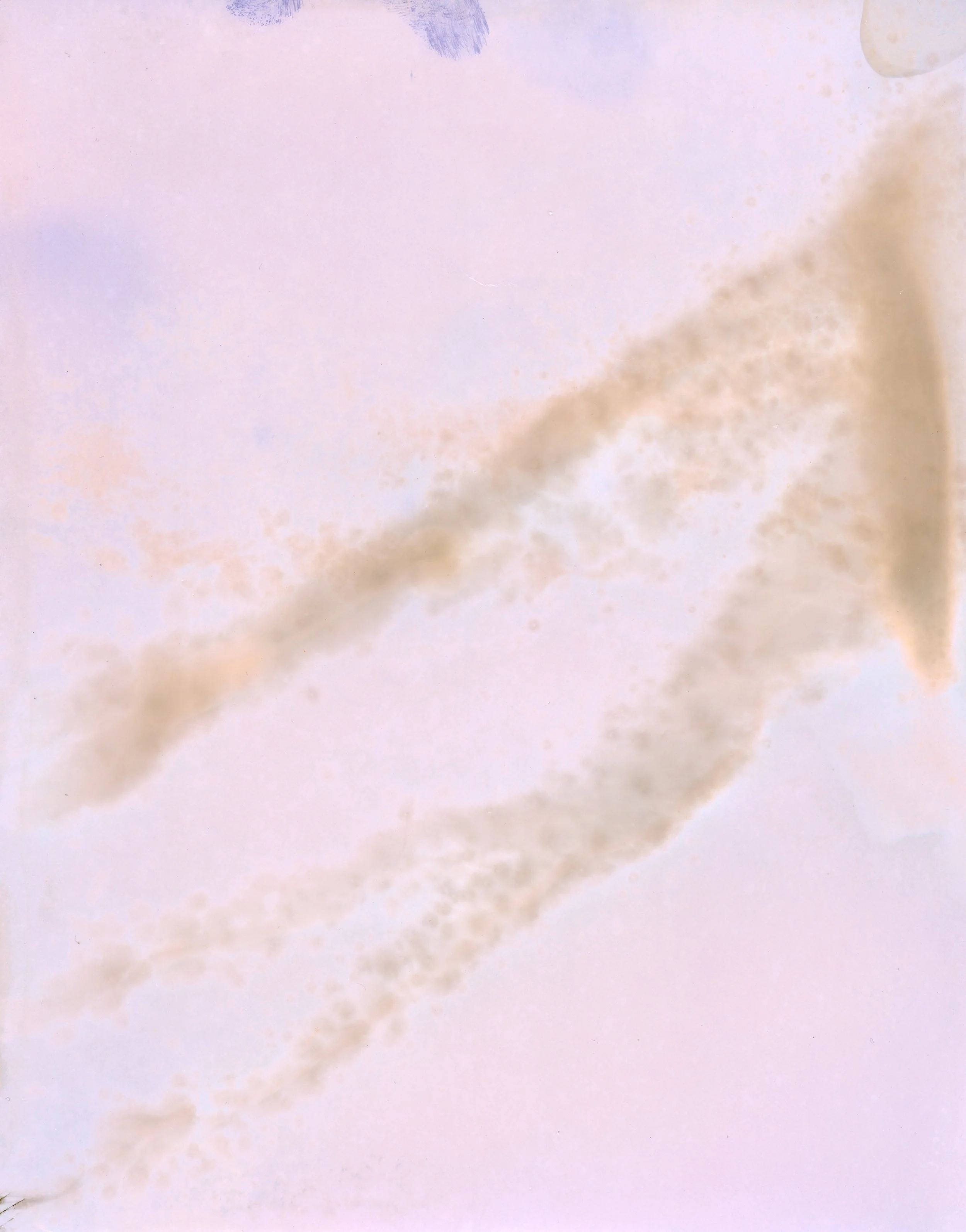 Untitled V (Pepper Spray Series), 2026, Unique silver print, 10 x 8 in