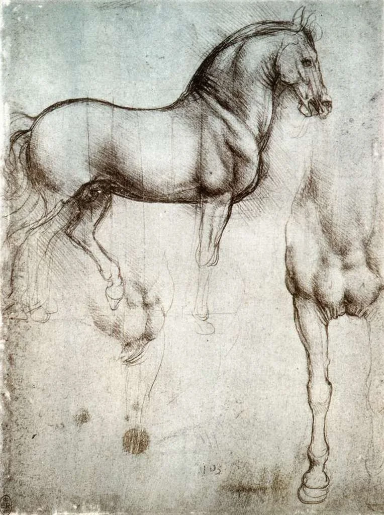 Author: Leonardo Da Vinci | Public domain