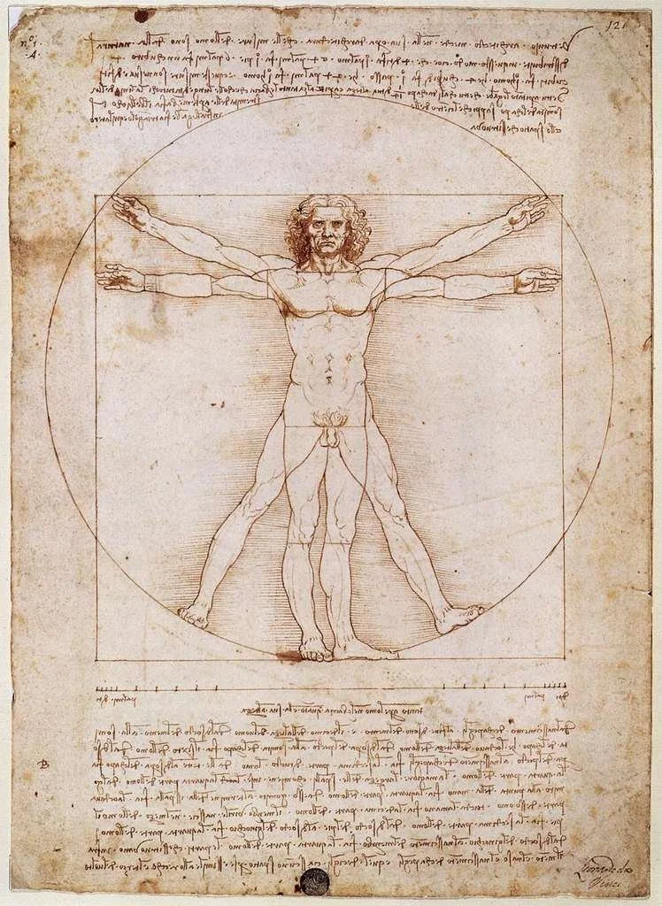 Author: Leonardo Da Vinci | Public domain