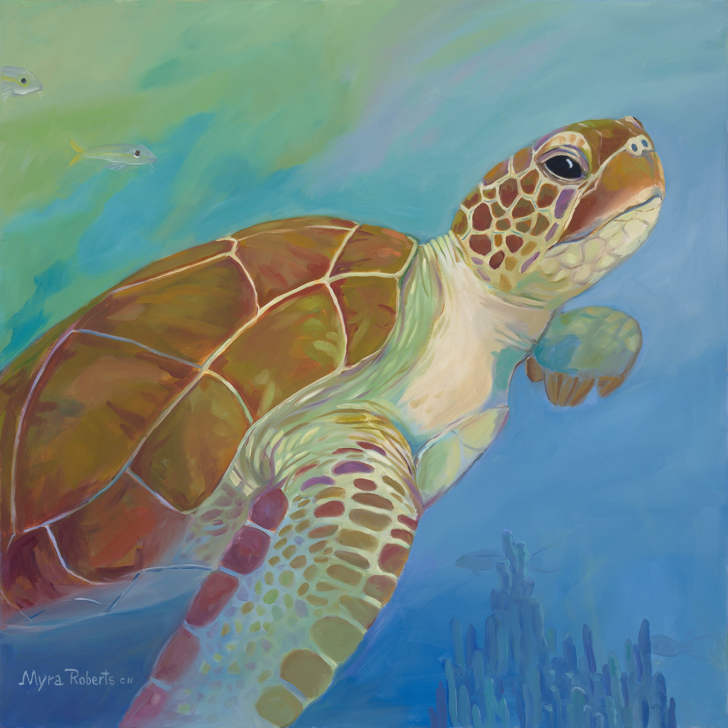 HawksbillTurtle.jpg