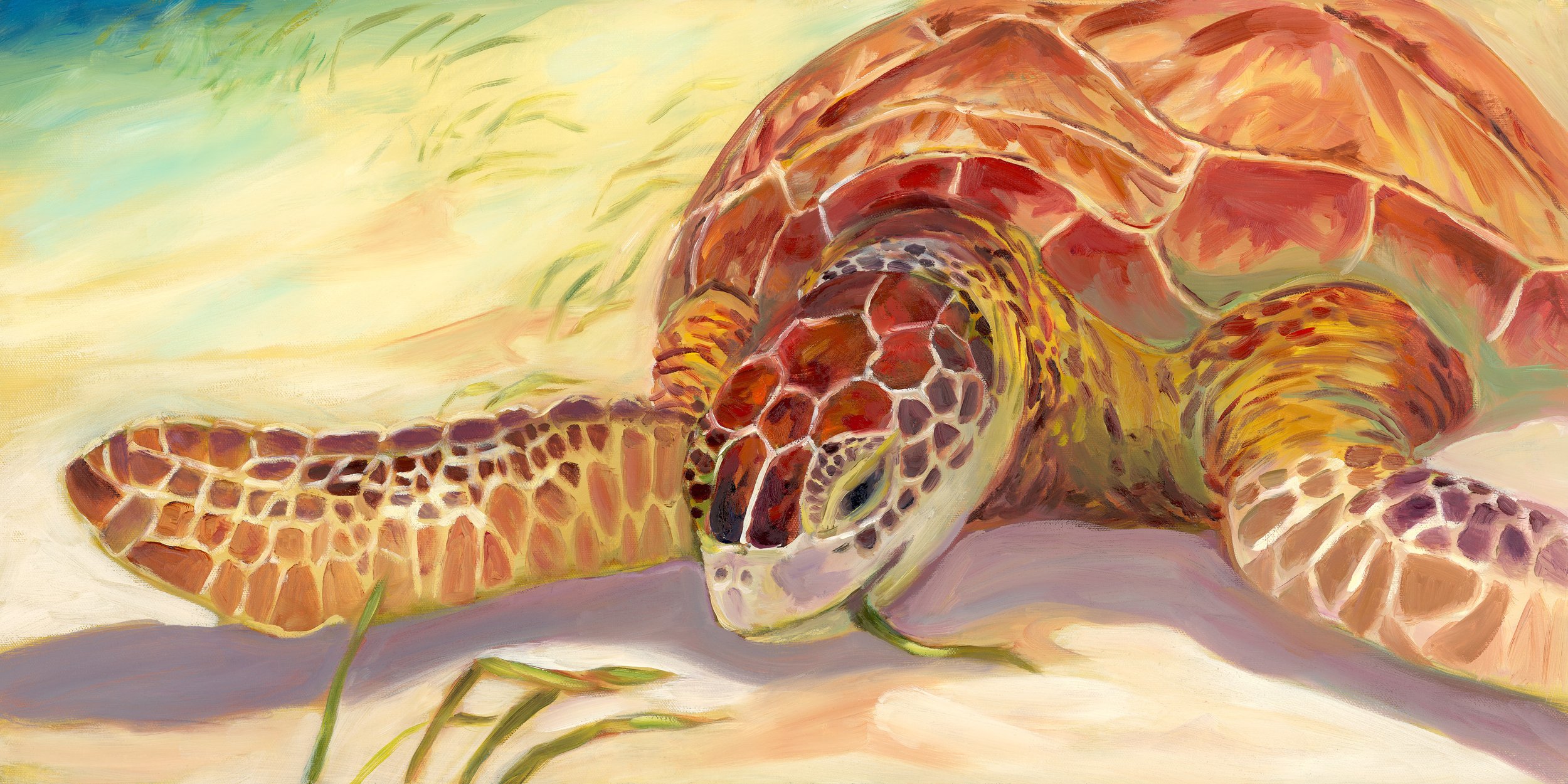 RedTurtleInSeagrass.jpg