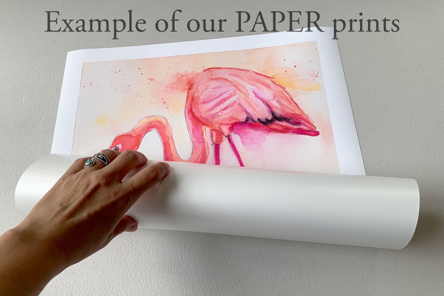 Website_RolledPaper.jpg