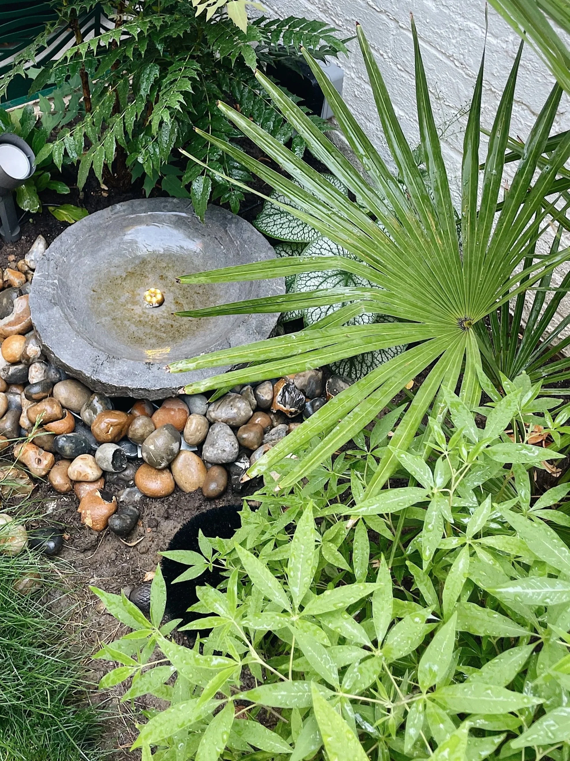 Natural Water feature