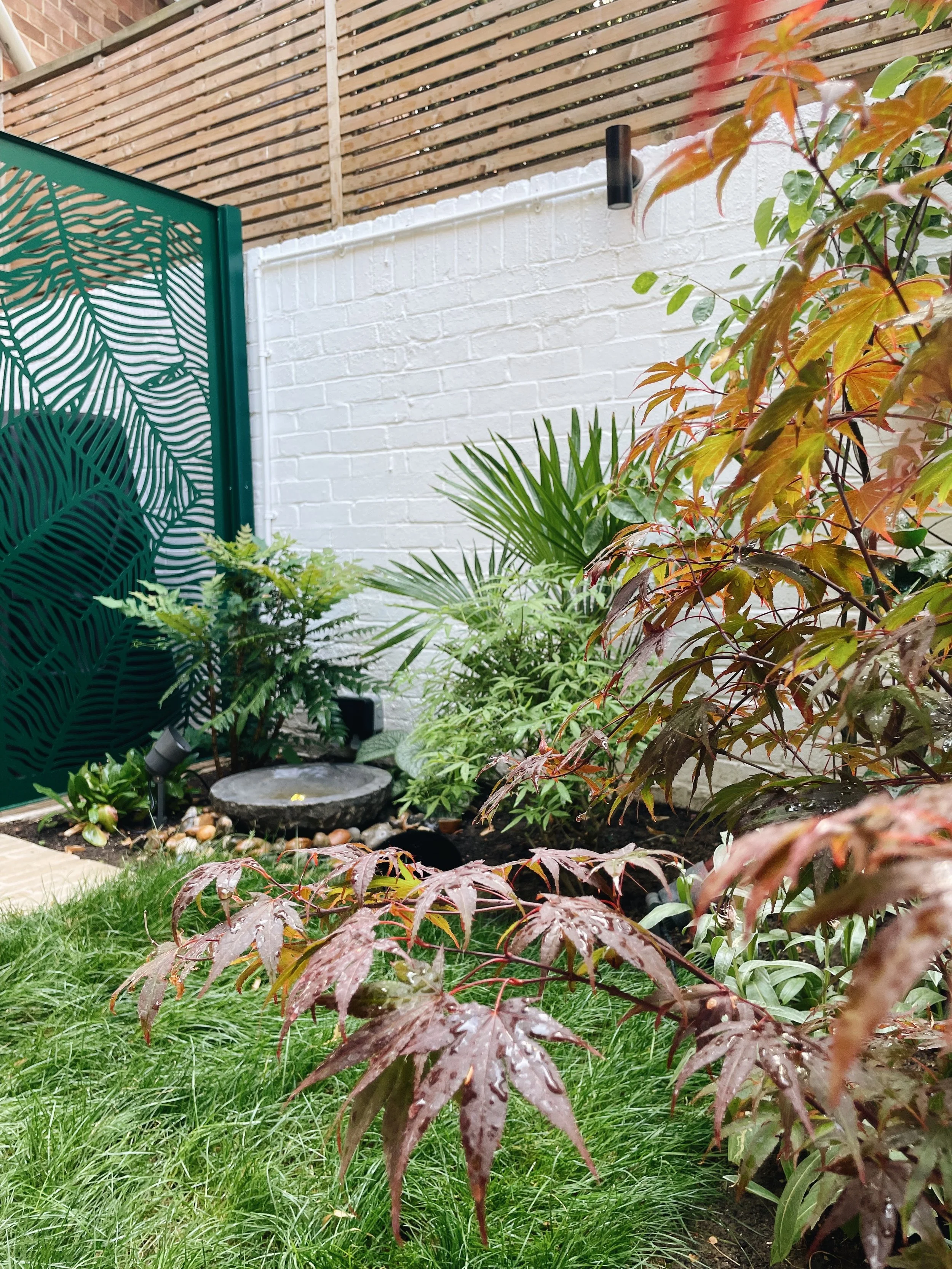 Japonese inspired garden