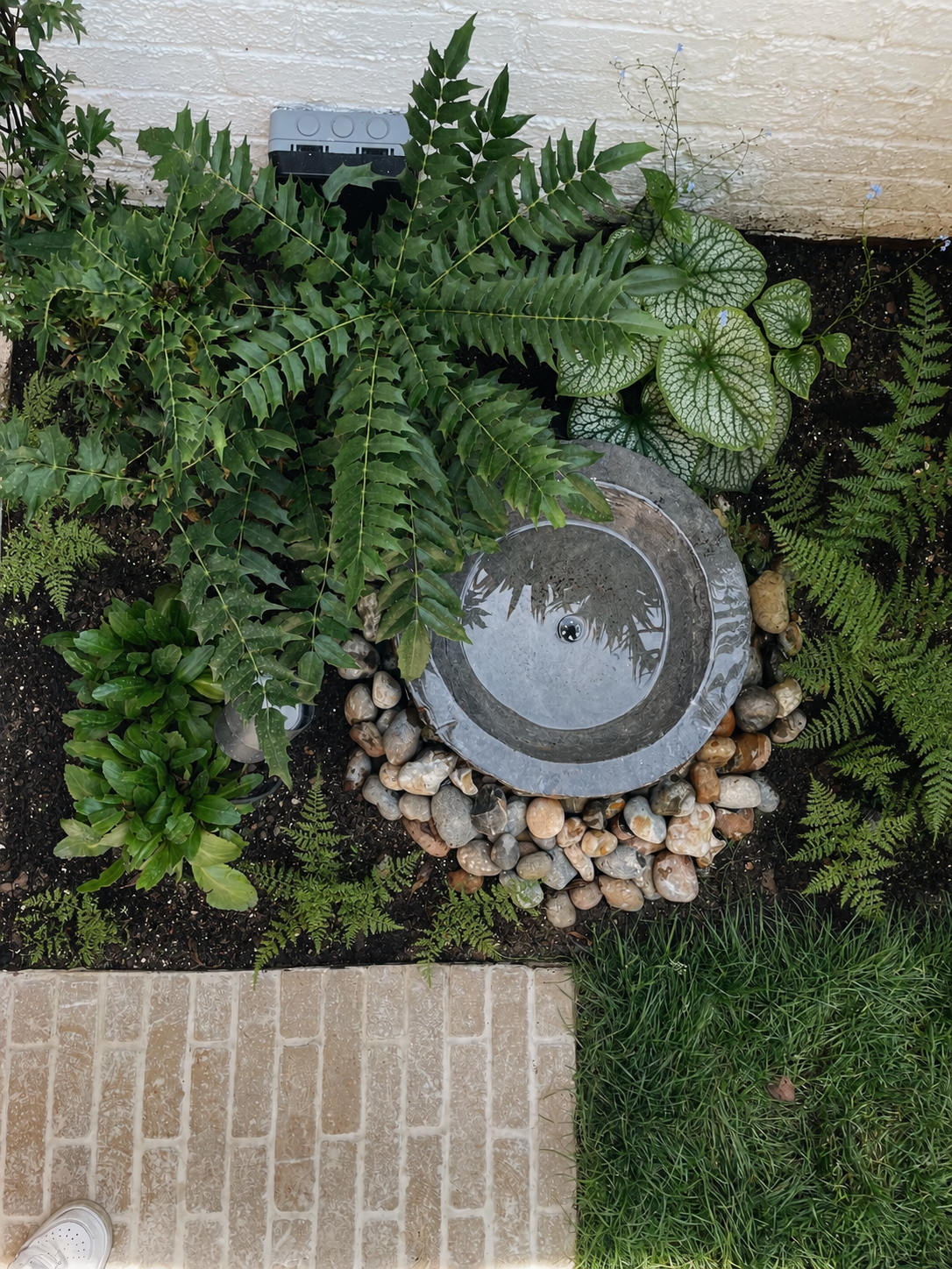 Water feature natural garden.png
