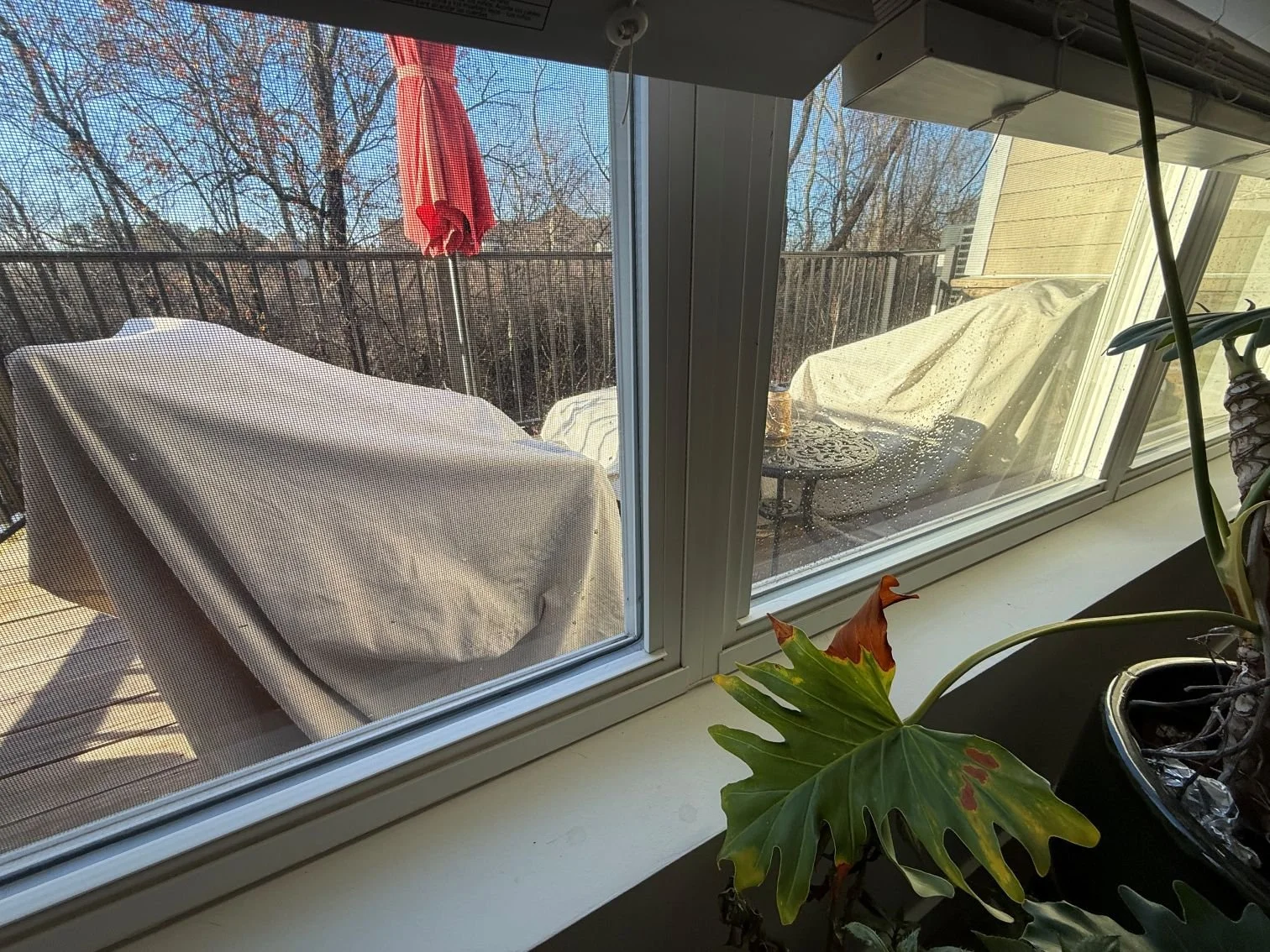 Back Porch (2 larger chairs with cushions, table and umbrella with stand) 