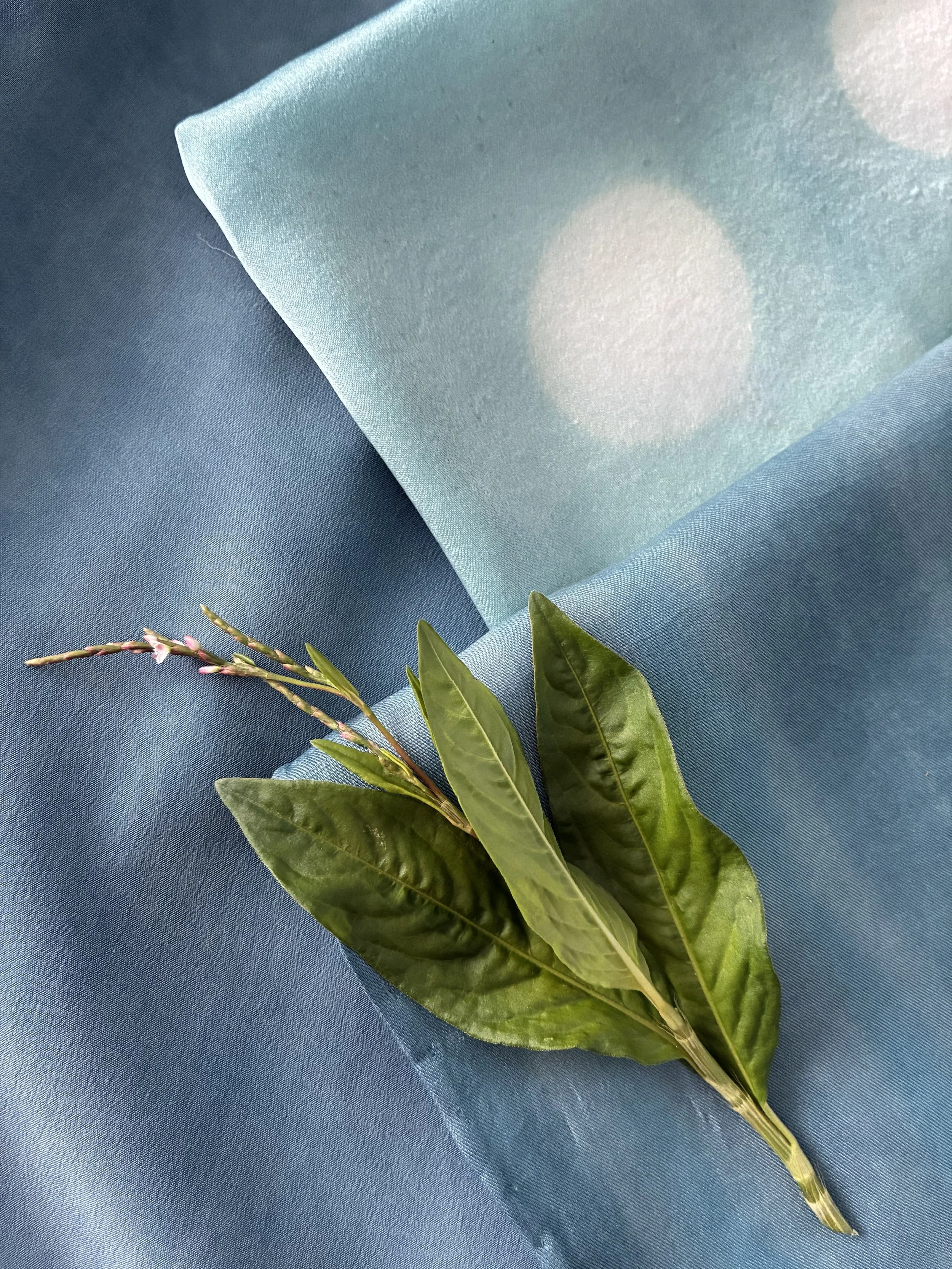 Fresh Indigo Workshop