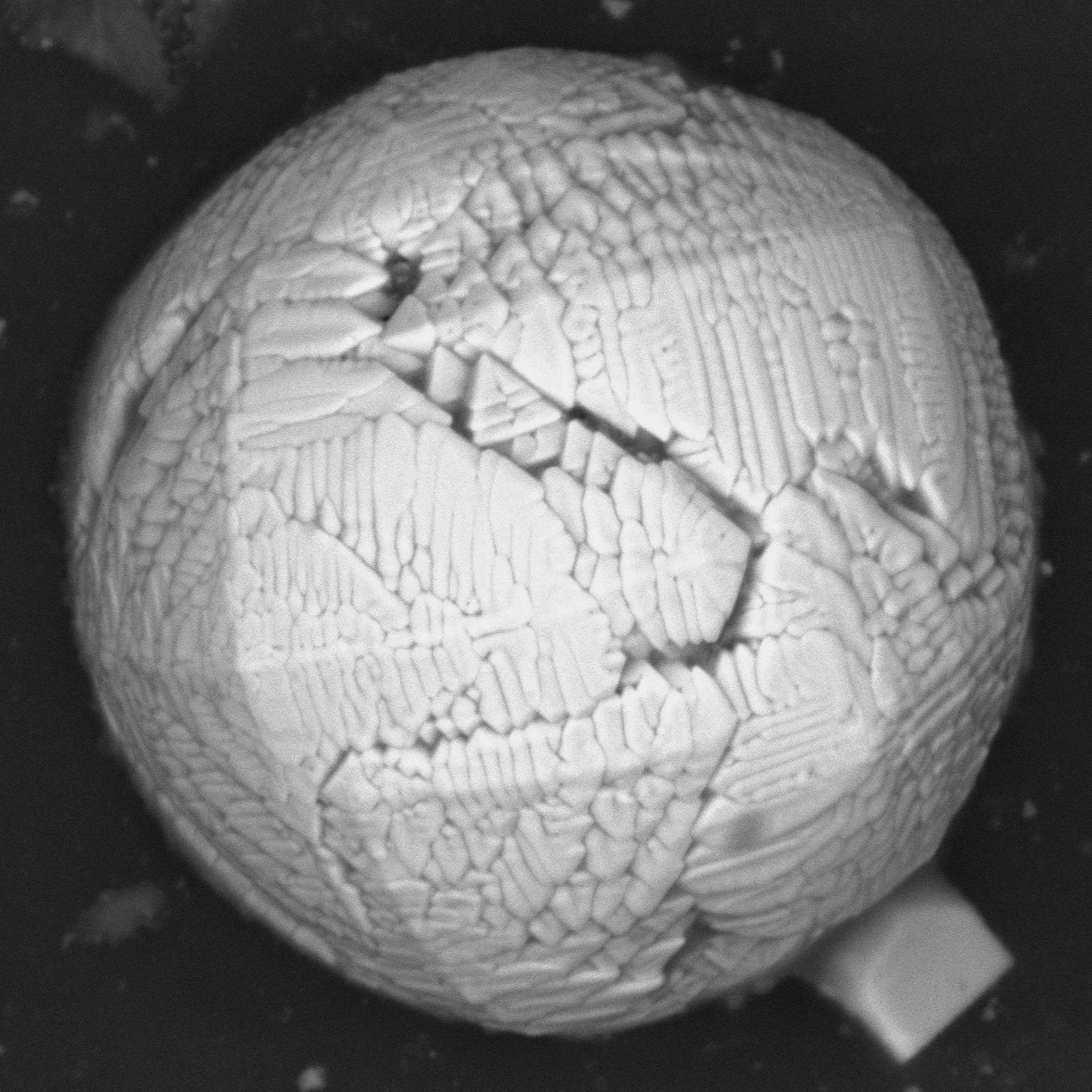 Electron Image 3.jpg