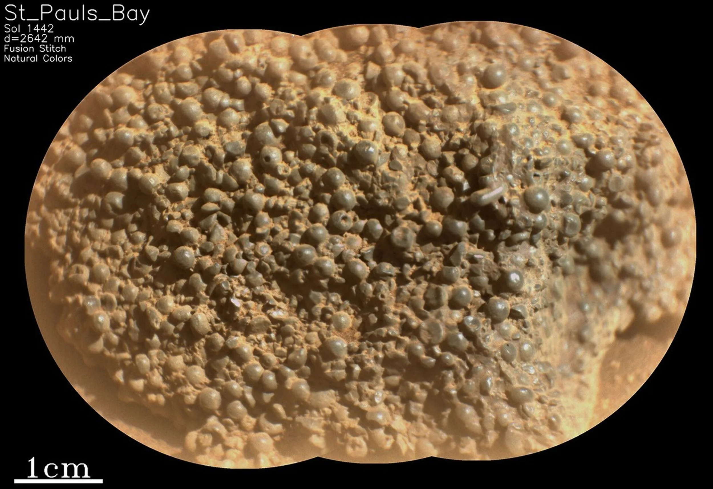 A SuperCam RMI mosaic from NASA’s Perseverance rover, taken on March 11, 2025, reveals hundreds of spherical-shaped objects in the “St. Pauls Bay” rock at the lower Witch Hazel Hill area of Jezero crater.