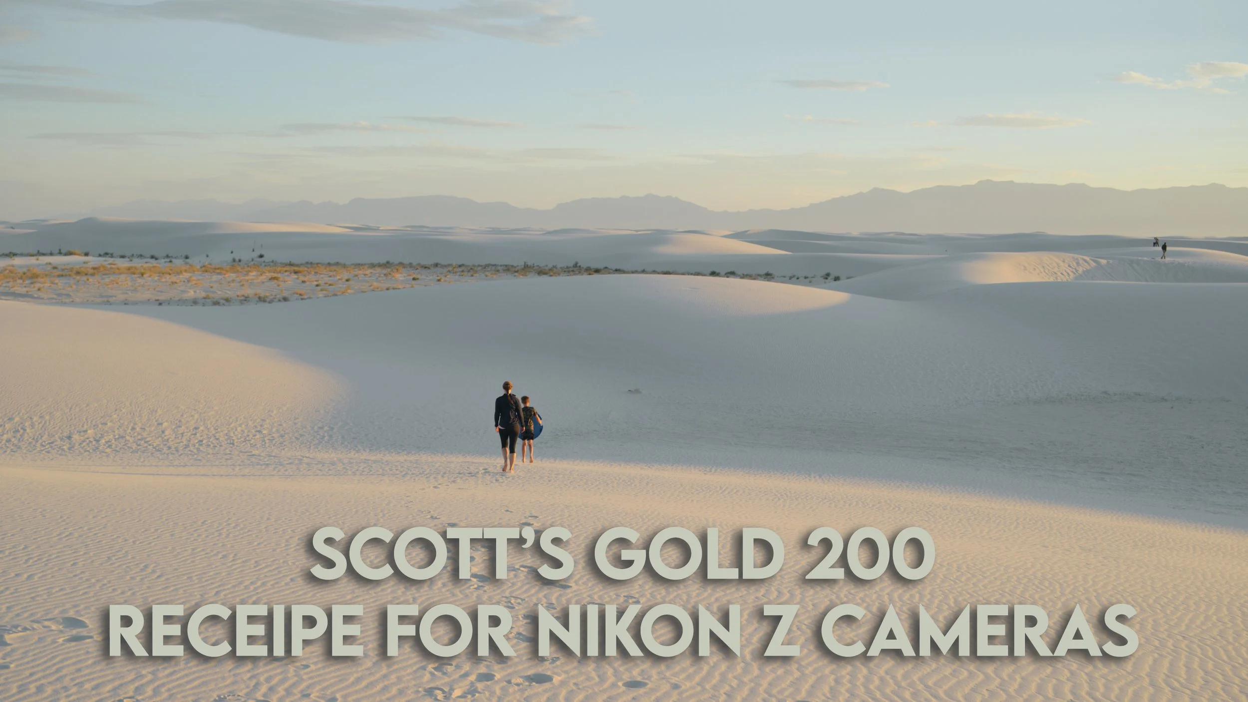 Scott’s Gold 200 Nikon Z flexible color picture control