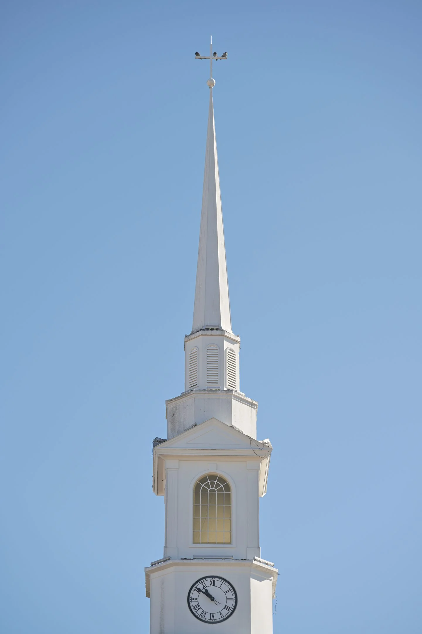ZFZ_2504_297ZFZ_2504nx.jpg