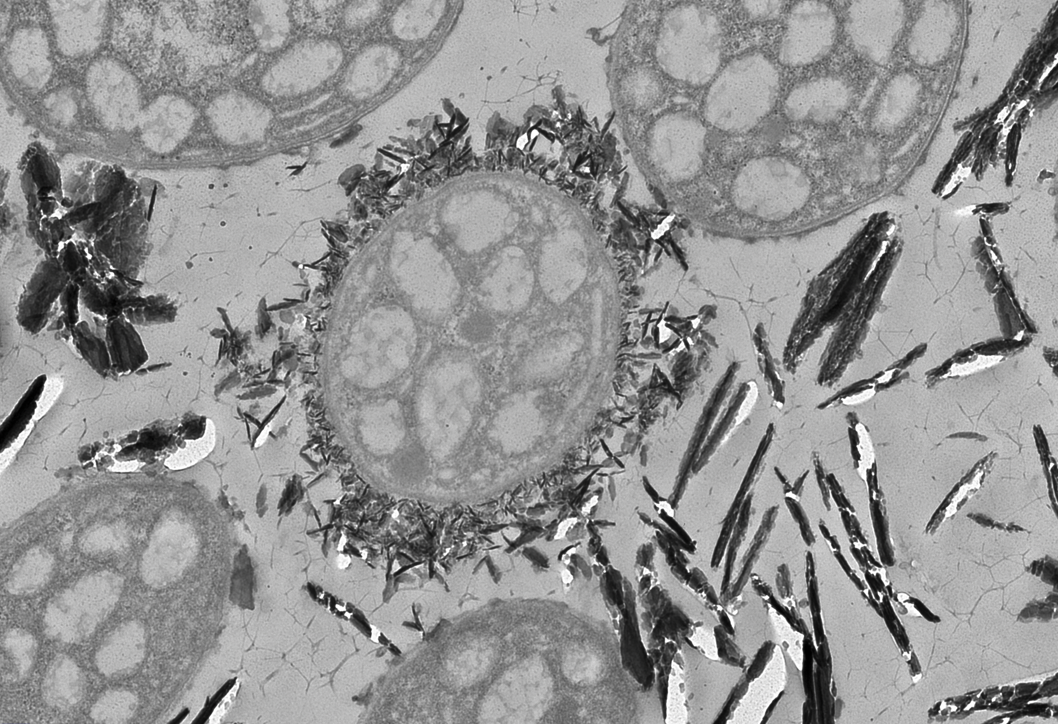 Captura de Pantalla 2023-11-24 a la(s) 13.29.10.png