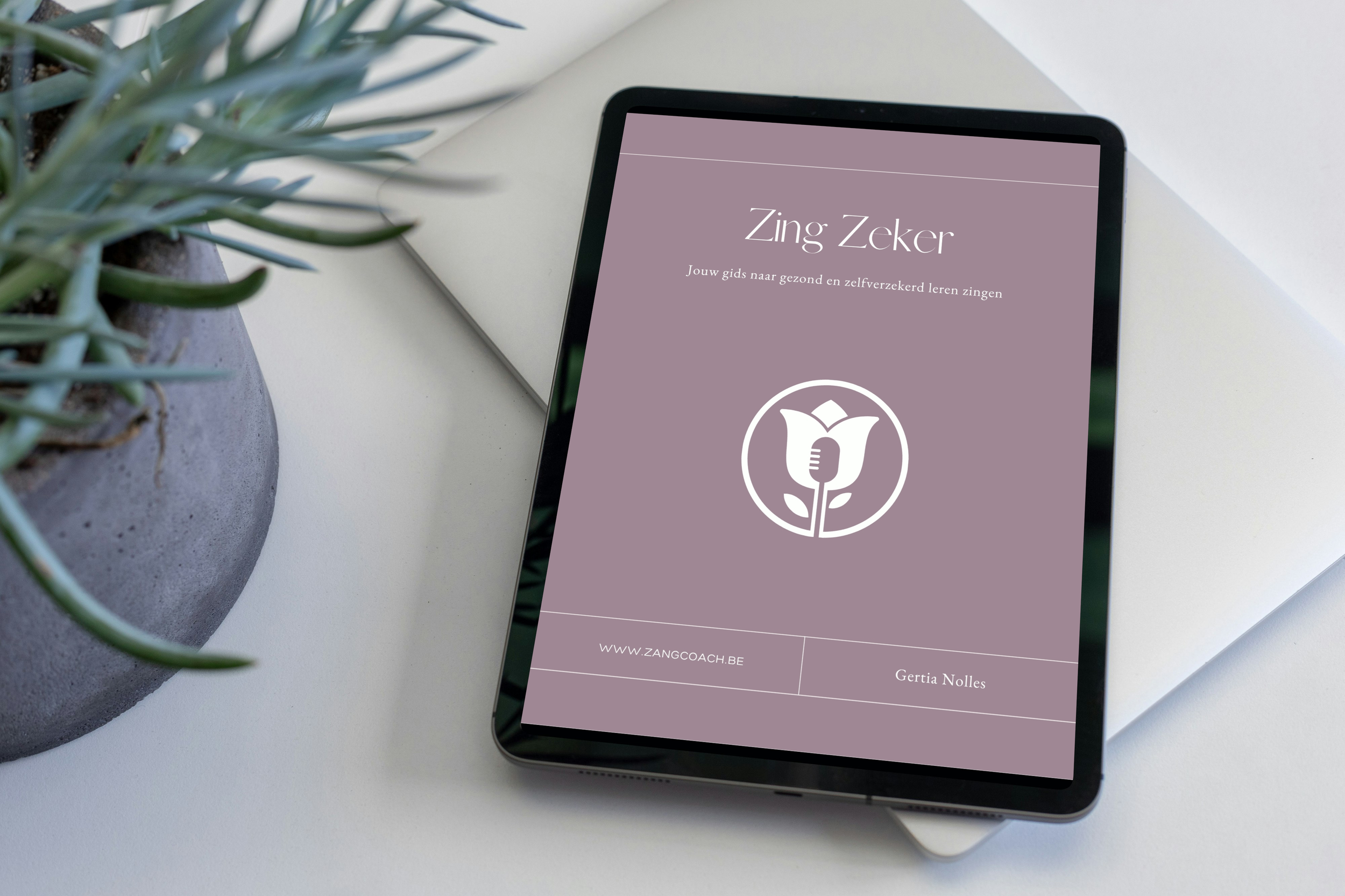 Mock-up ZingZeker 3.png