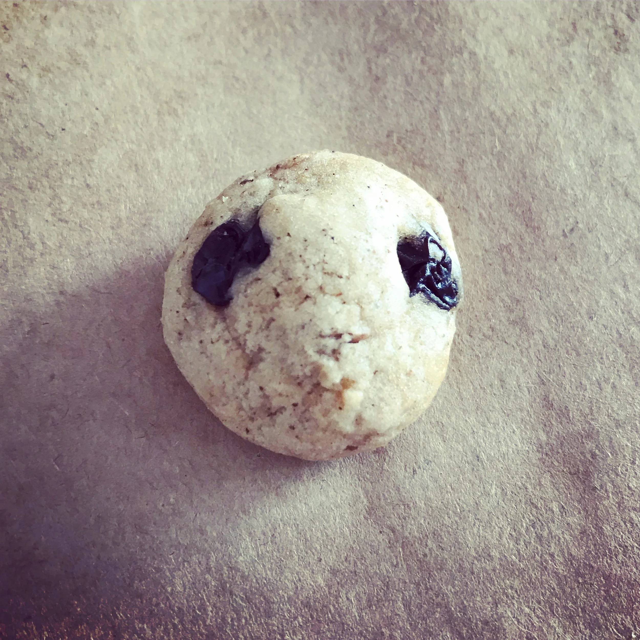 Cookie Companion