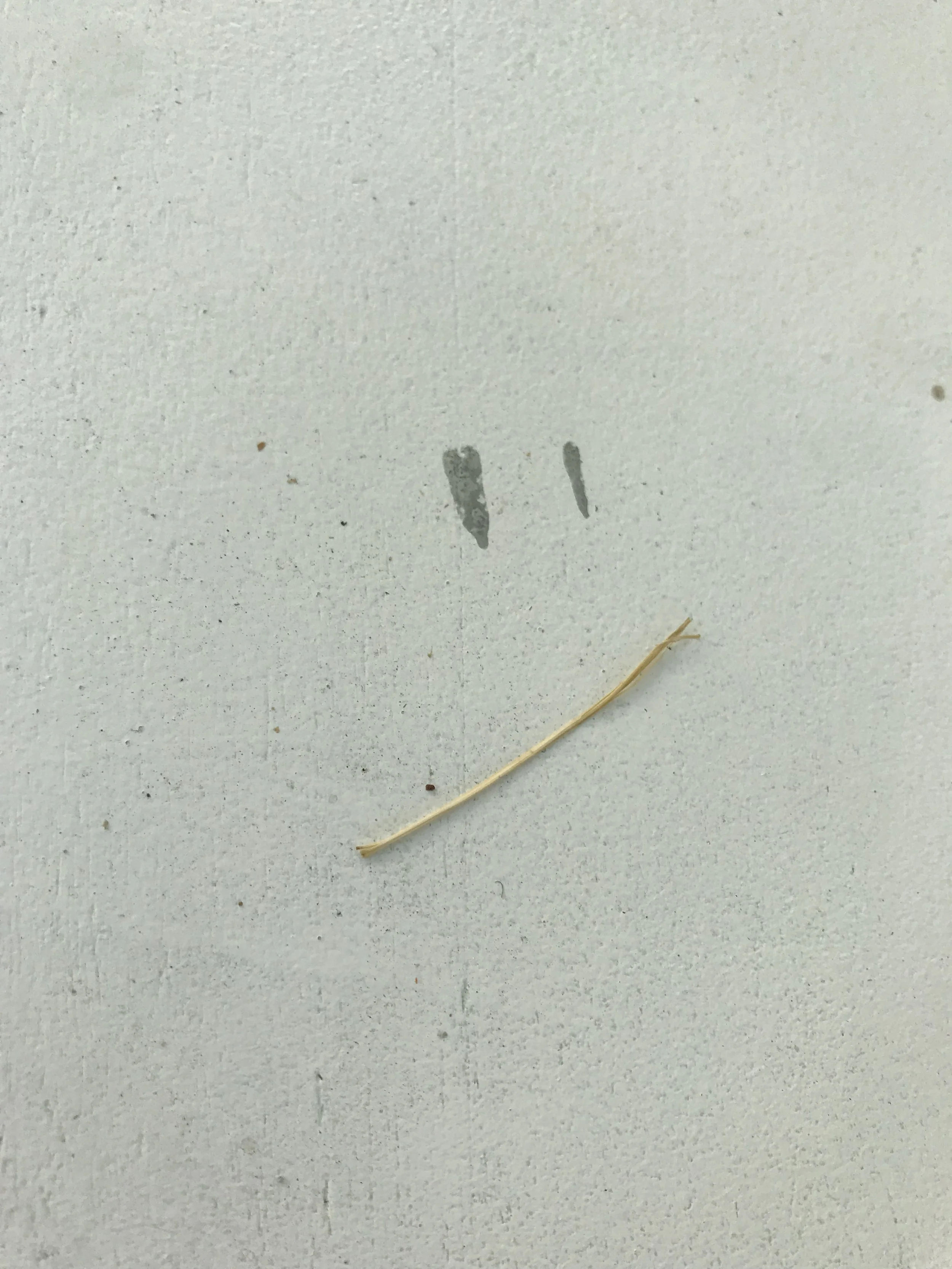 Sidewalk Smile