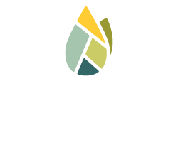 Bloom Coworking