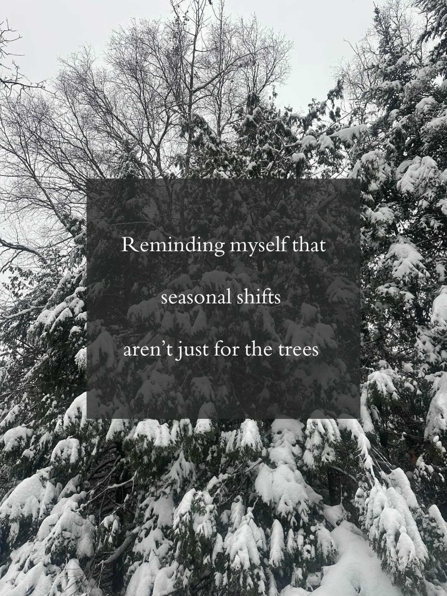 Hi! I&rsquo;ve been absent on social media, focusing on the day to day work in my practice 

Every day I&rsquo;ve been like &ldquo;oh no! I haven&rsquo;t posted any content in a while!&rdquo;, and then I remind myself that I am allowed to experience 