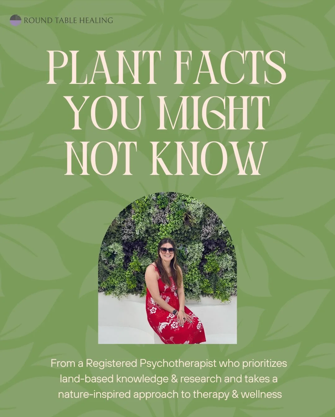 What is your favourite plant to keep in your home? 🪴 I personally love pothos because they&rsquo;re easy to care for, grow with little to no effort, and are fun climbing plants (just don&rsquo;t let them latch onto your drywall) 

&bull;&bull;&bull;