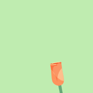 bath + body works — sarah beth morgan