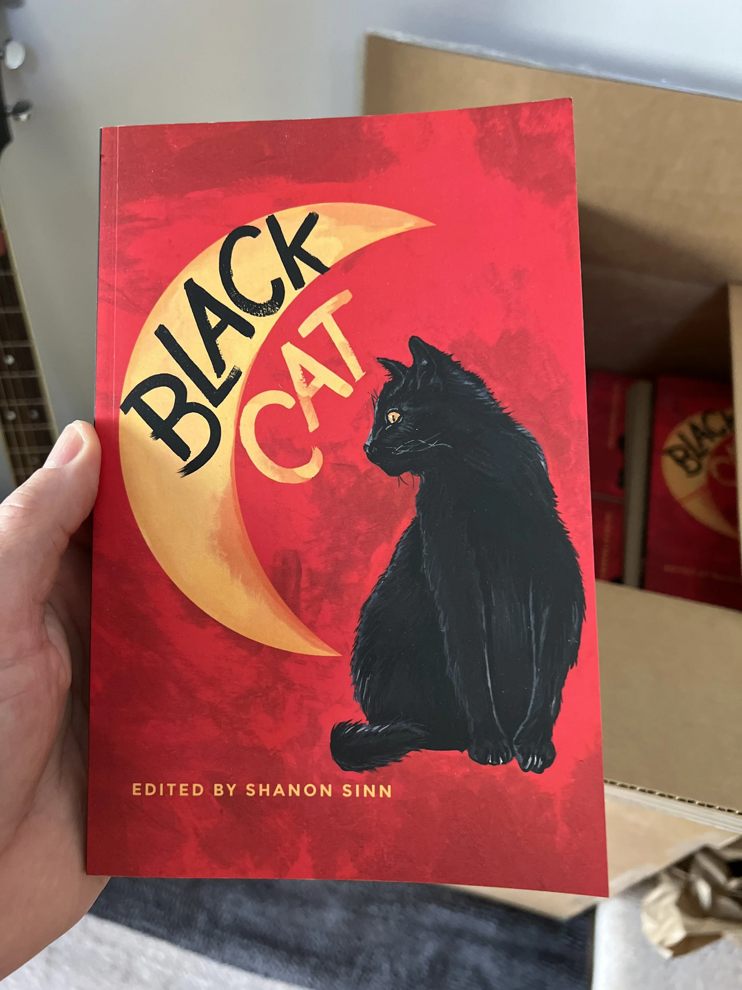 Black Cat — Black Cat Books