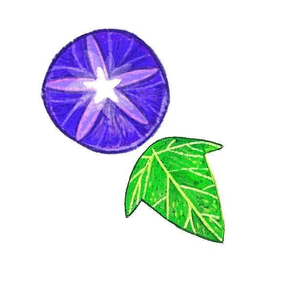 Ana Baldallo. Artista visual e ilustradora