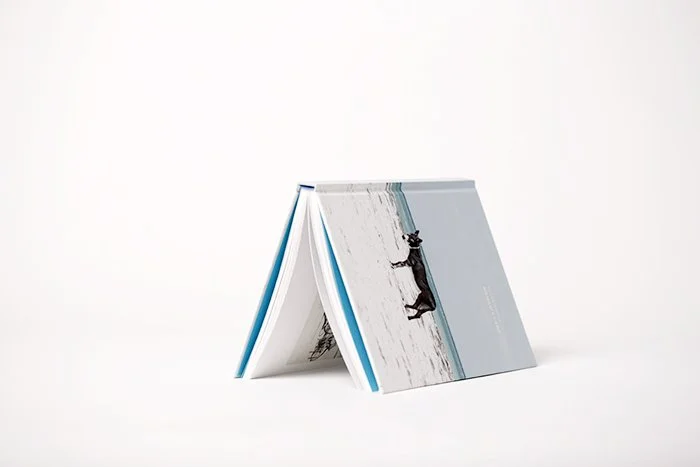 Livre 7.jpg