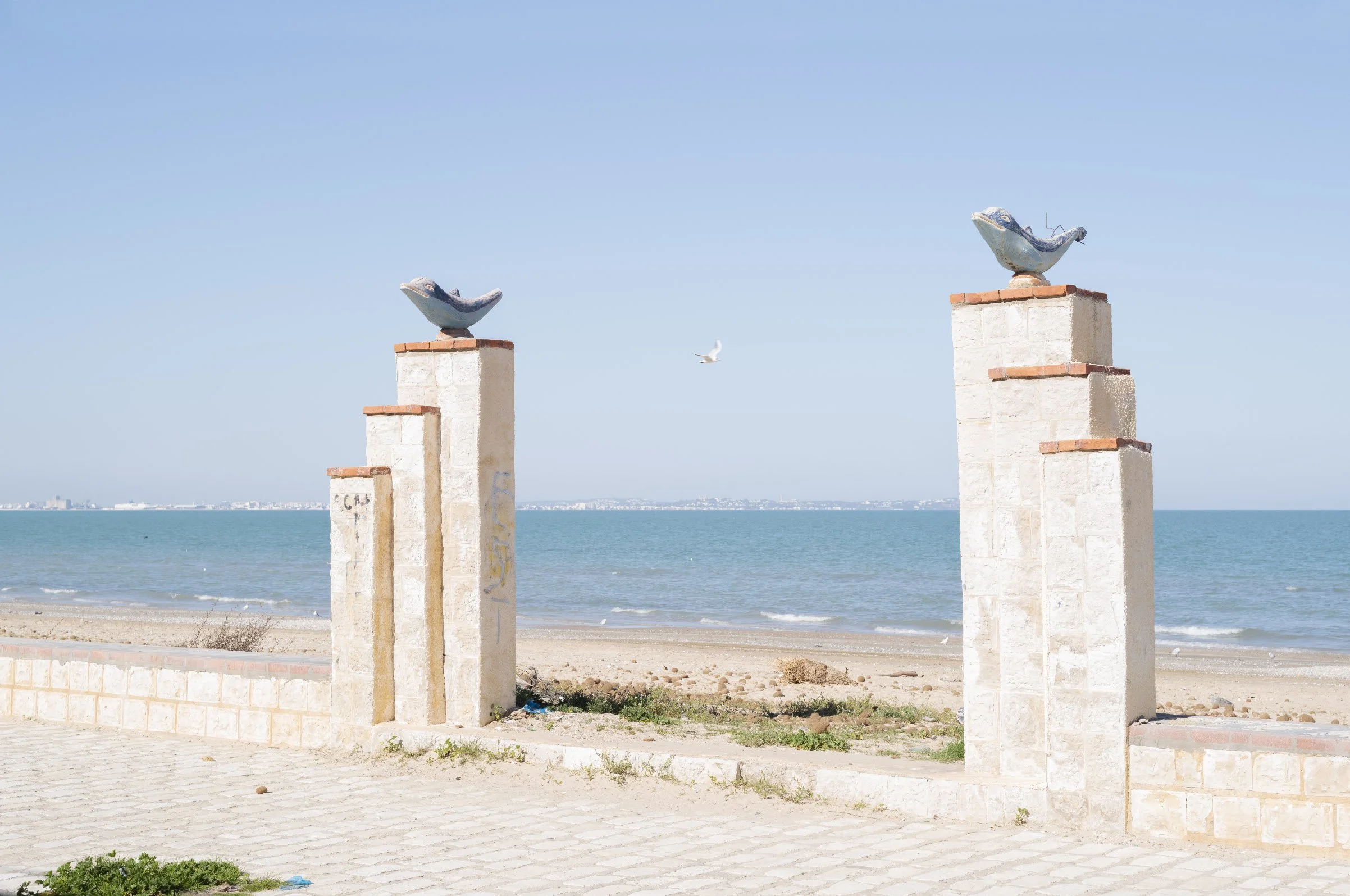 CASINO - 26 FEVRIER 2026 - 01443.jpg