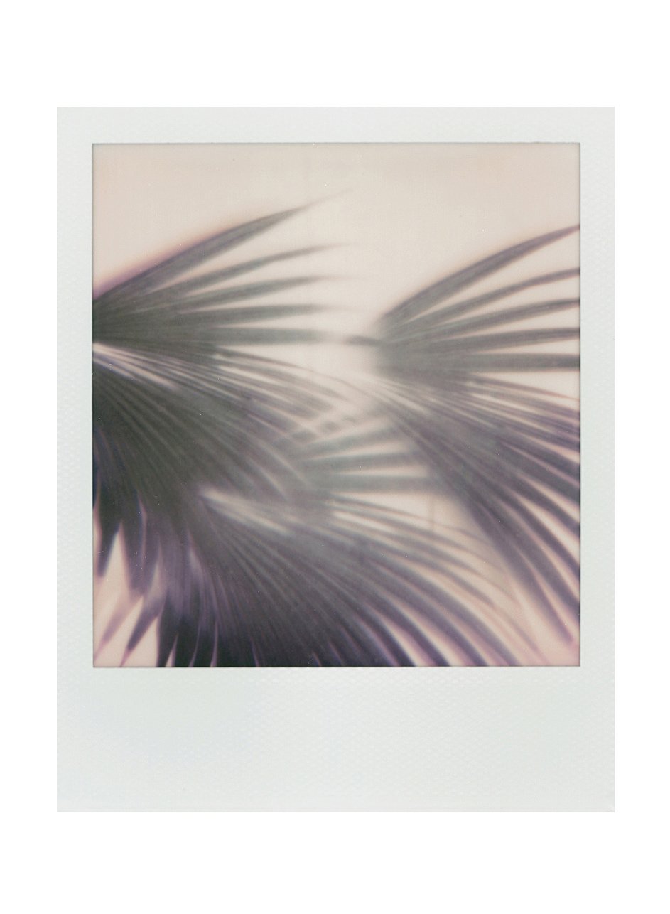 Polaroid 23.jpg