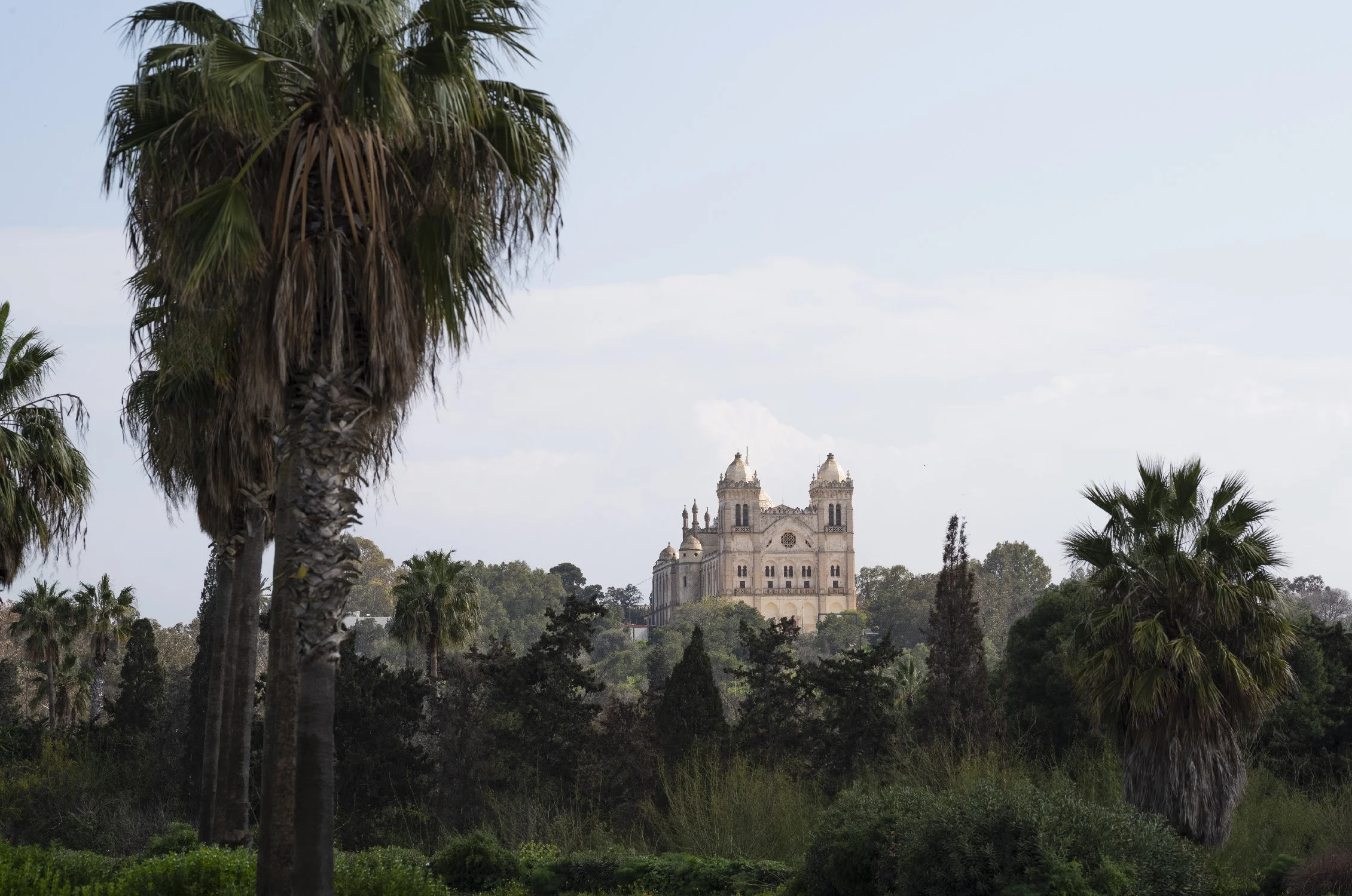 CATHEDRALE - 0437 - 96 dpi.jpg