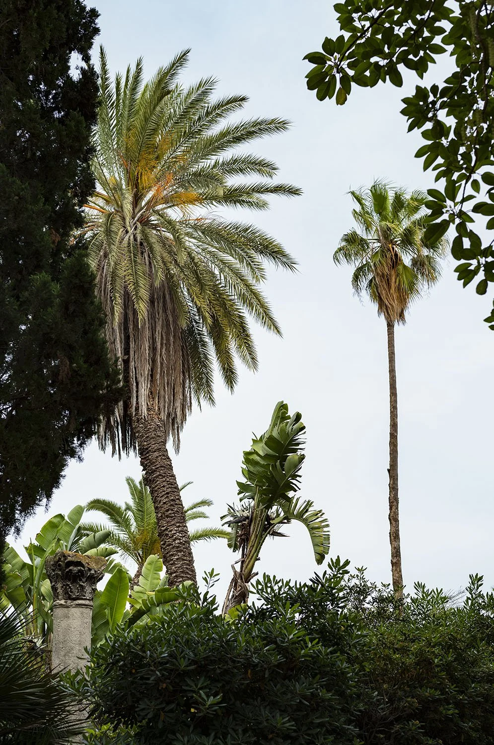 JARDINS DAR KAMILA - 0351.jpg